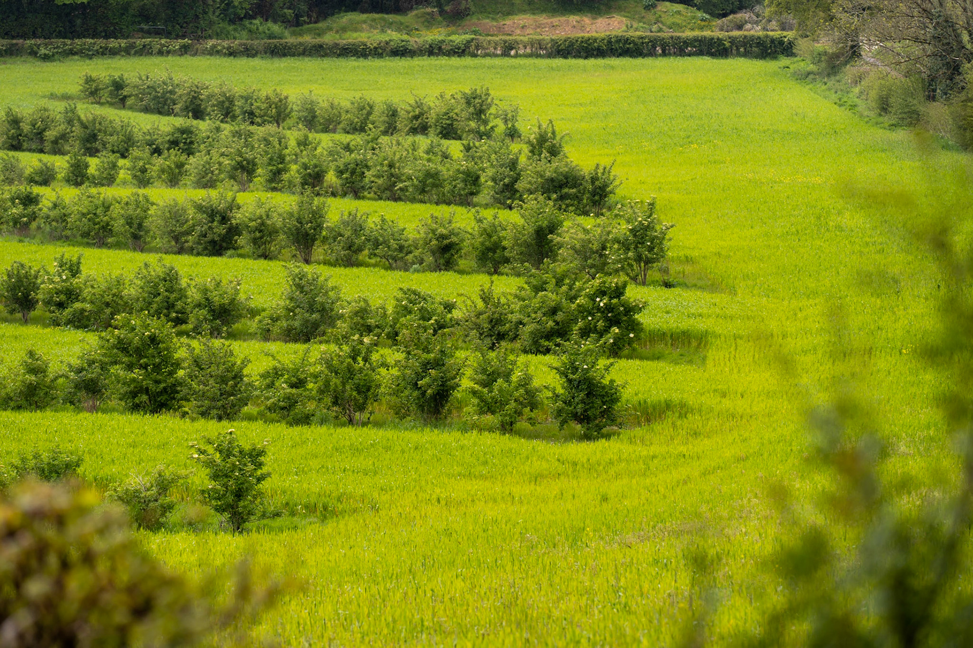 Josh Pratt | https://www.instagram.com/mrjoshpratt/