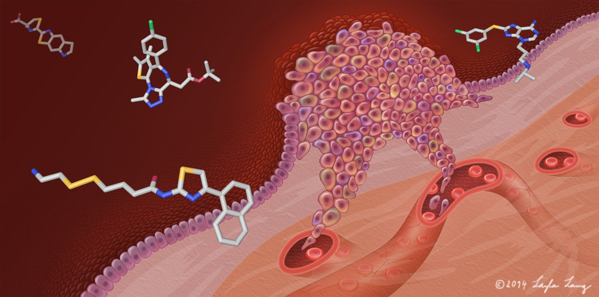 Layla Lang - Chemical Biology Symposium