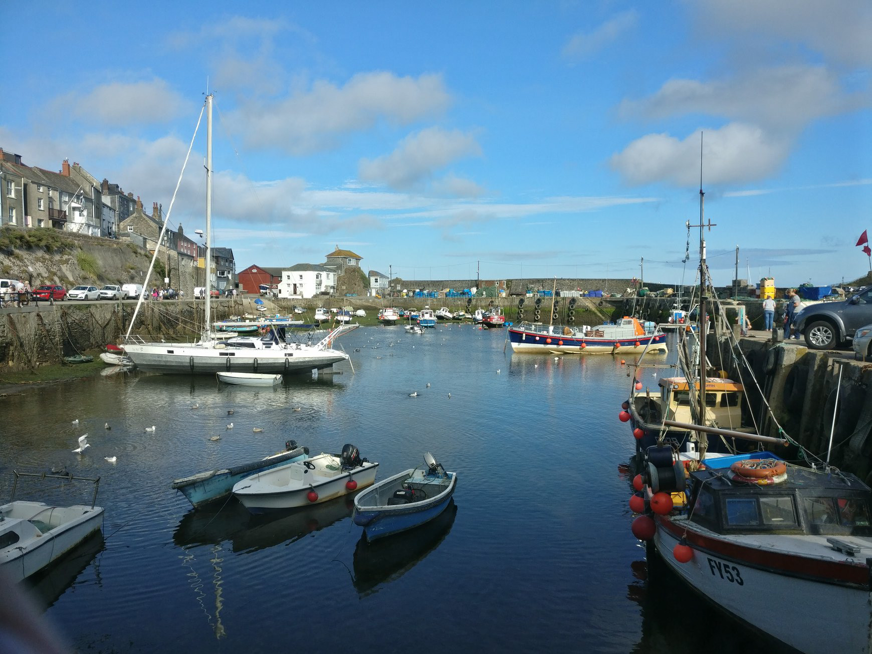 Devon Harbour 2