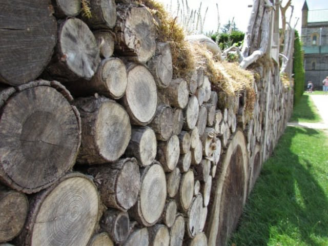 Wall of Logs