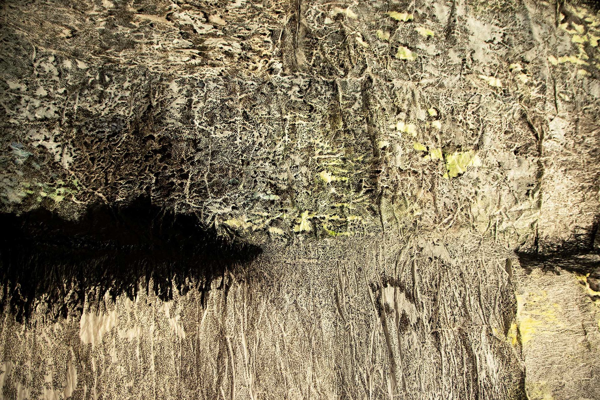 "Borderland grand" 2018 detail