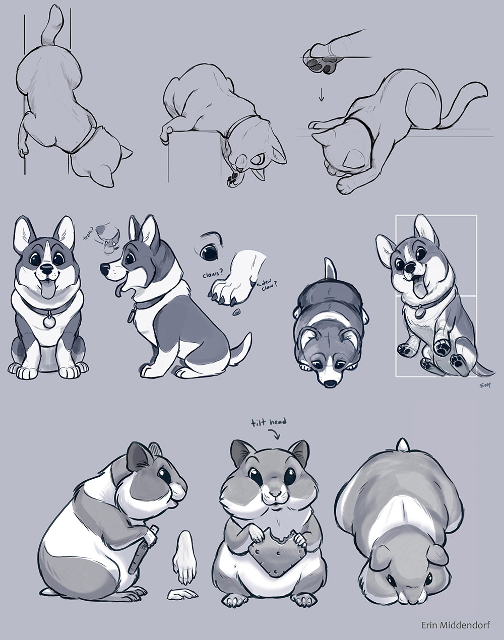 Orthographics for Cat, Dog, and Hamster
