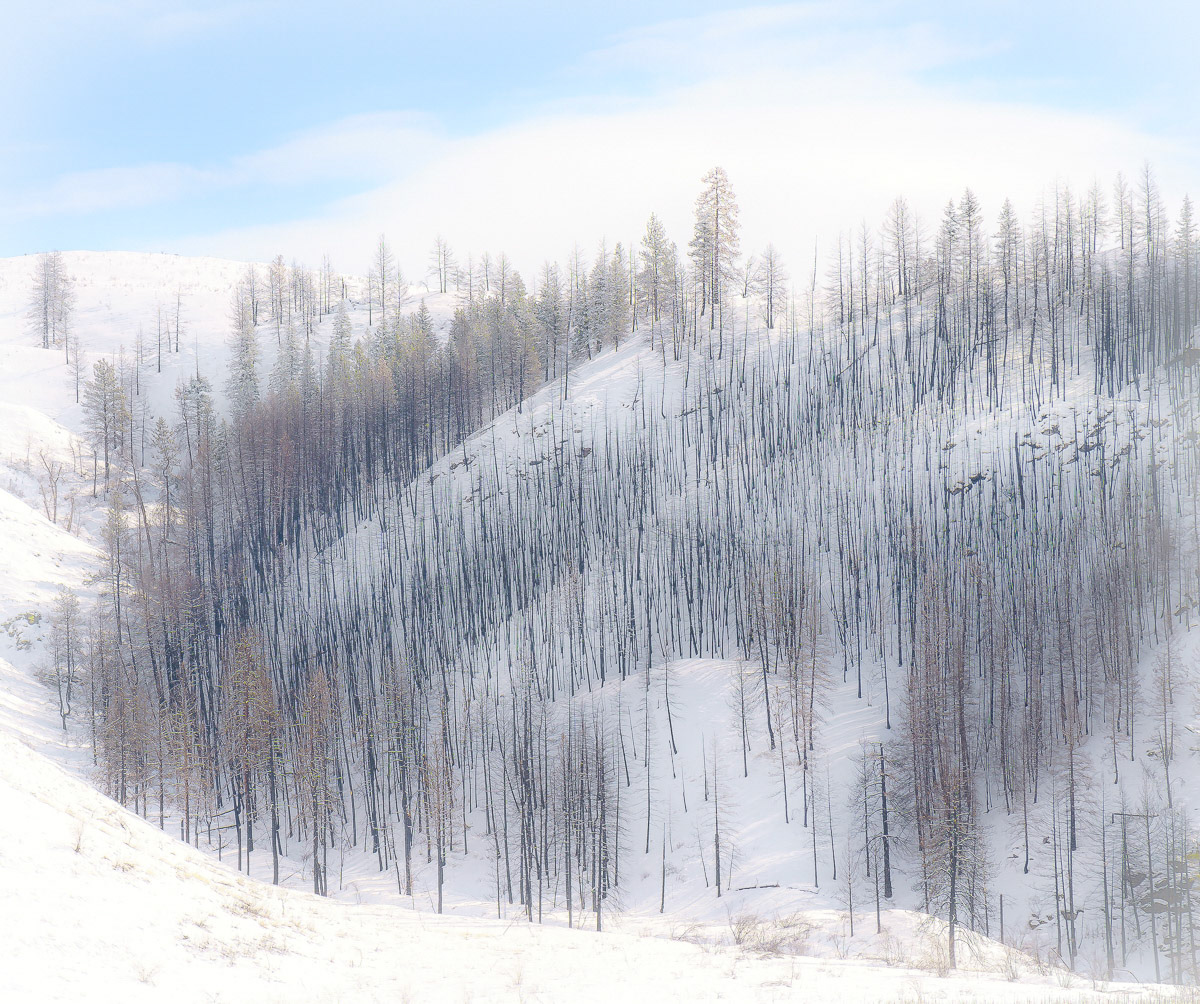 Methow Valley