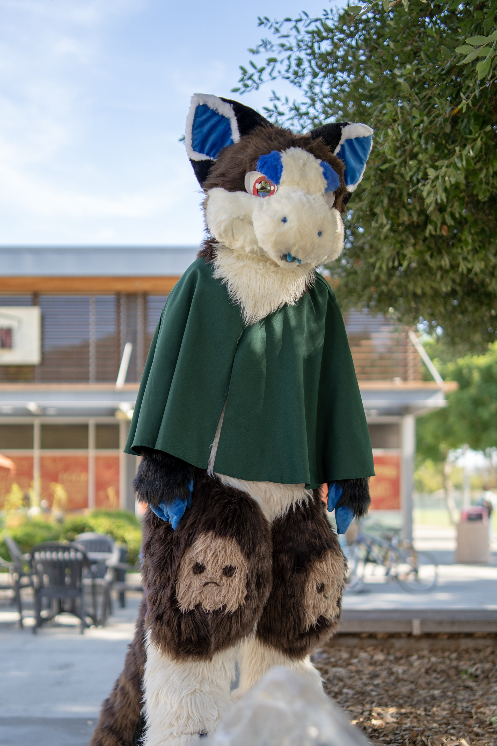 Luke Spots Cal Poly Pomona Furs Halloween 2018