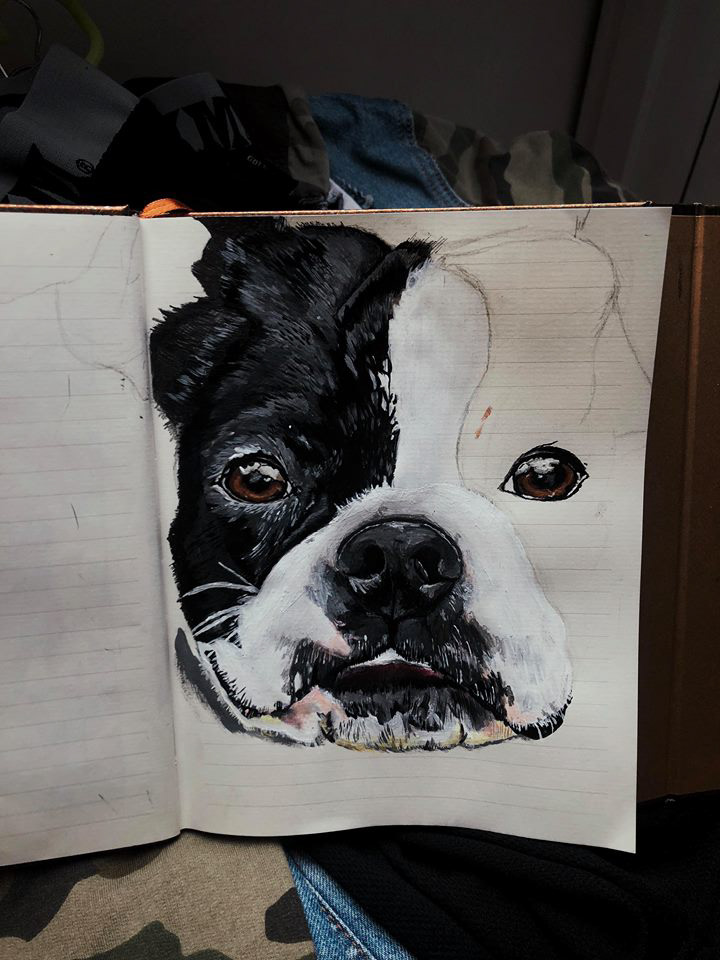 pauline soete HYPER REALISTIC DOG DRAWINGS