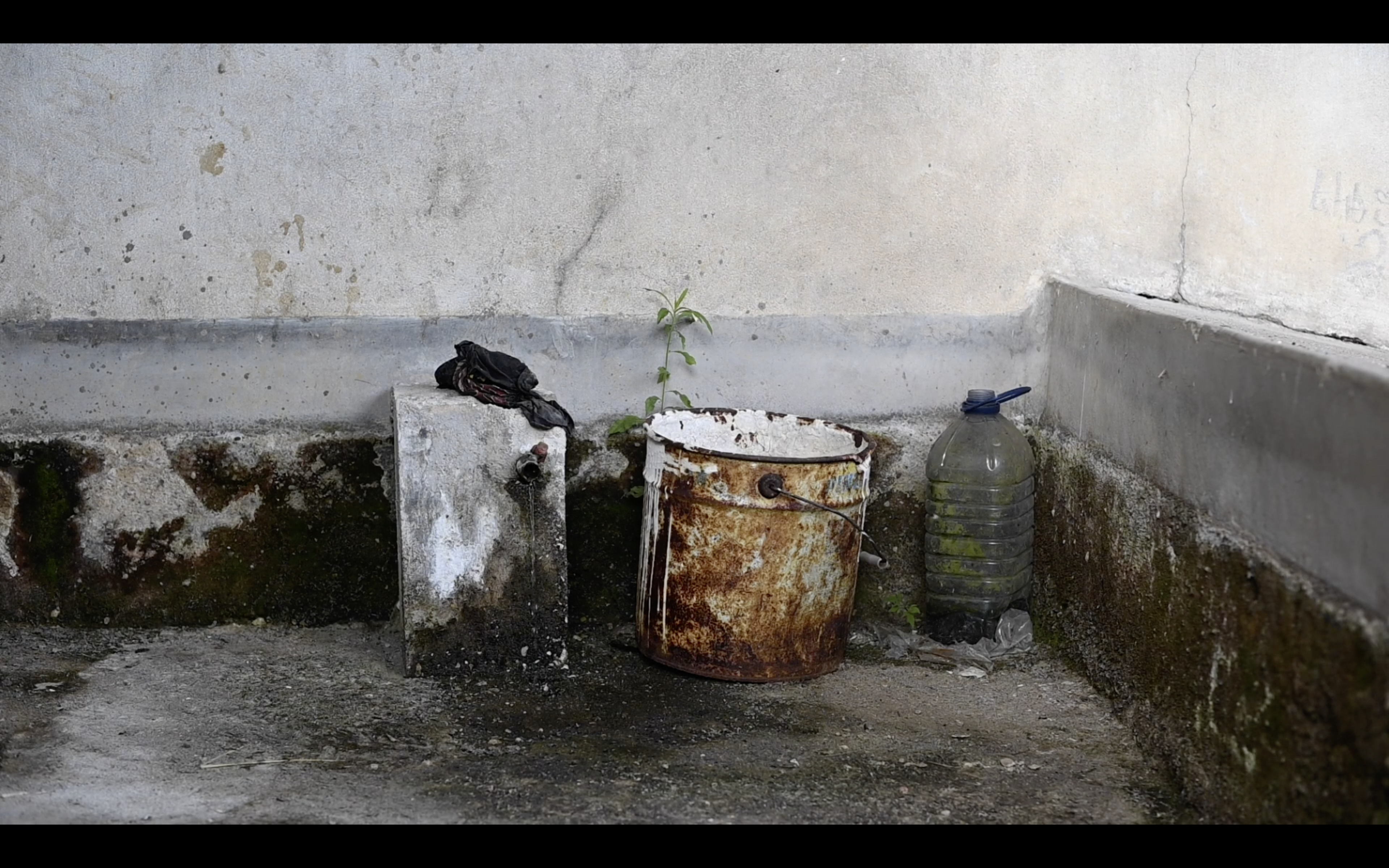 Tanaquil Dirand, Capture d'acran Le regard d’eau, 2020, projection vidéo et sonore, 2min50.