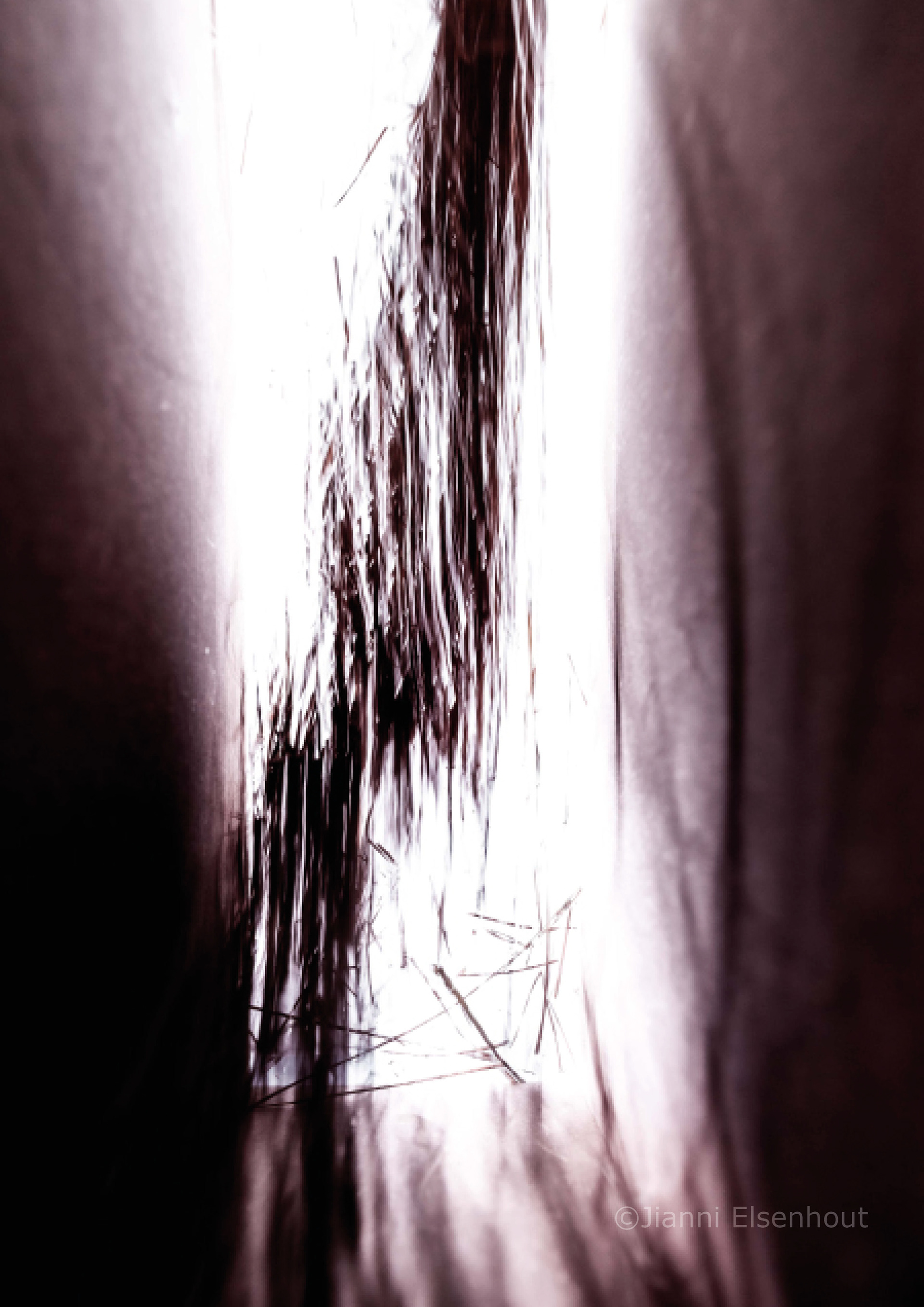 REQUIEM X LOST II