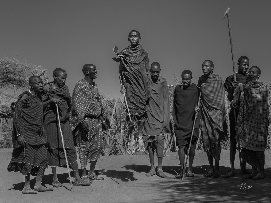 Masai warrior dance