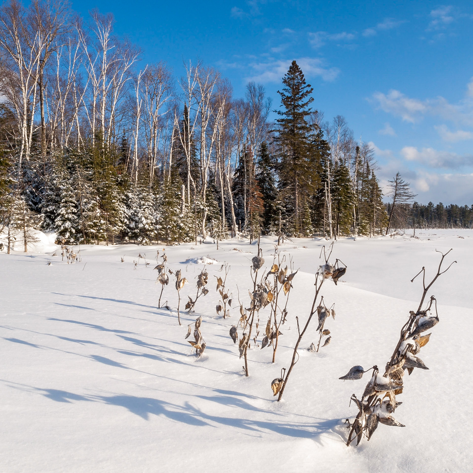 Bark Lake Leadership Centre, Irondale, Ontario