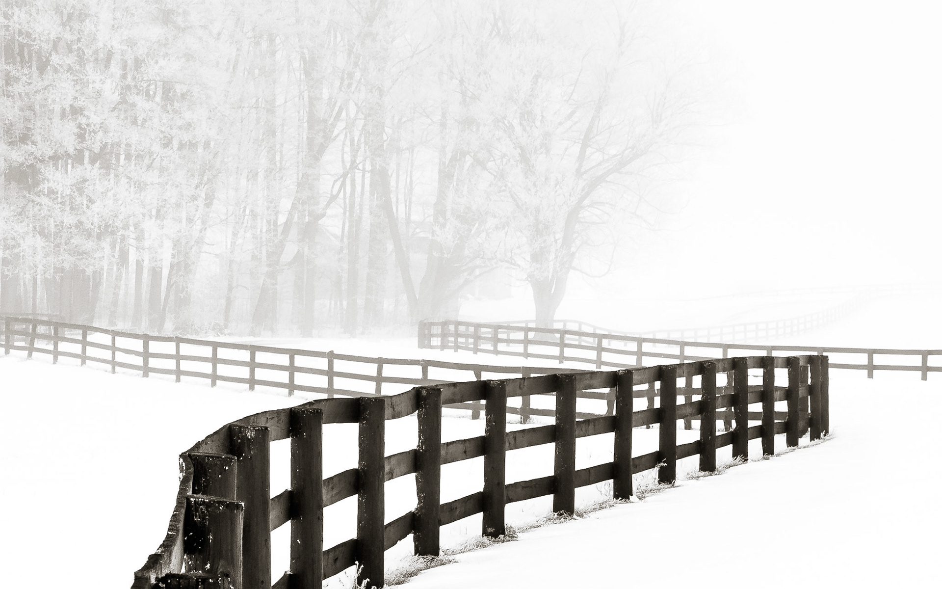 Horse fences wind their way through this snowy landscape of fields and forests