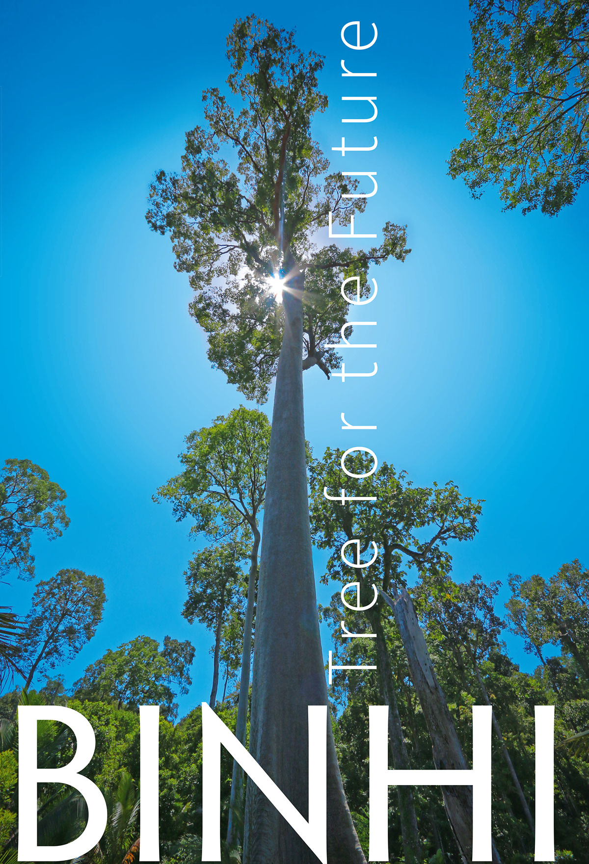 Felix Mago Miguel Art BINHI Tree for the Future