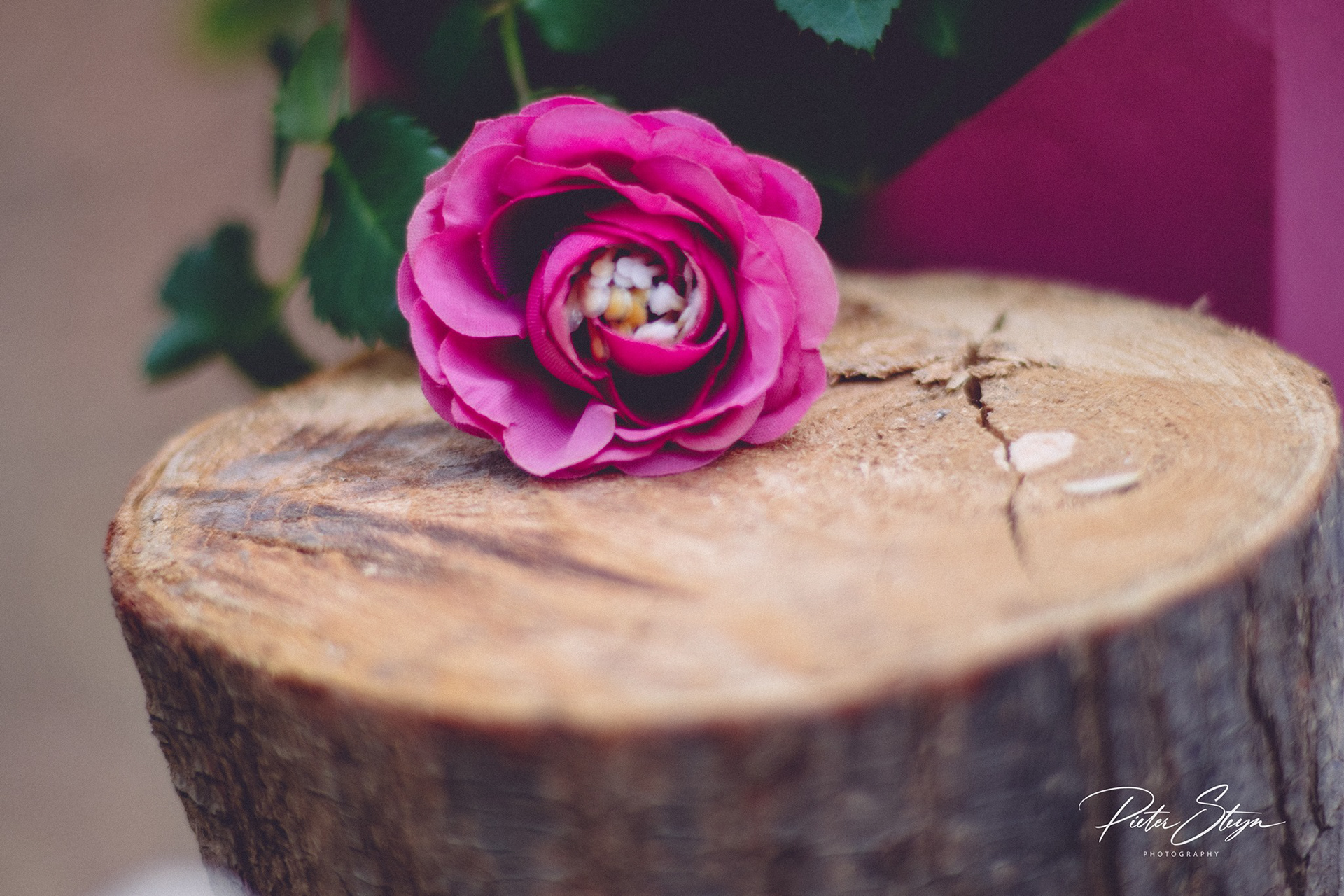 Baby Shower Photography