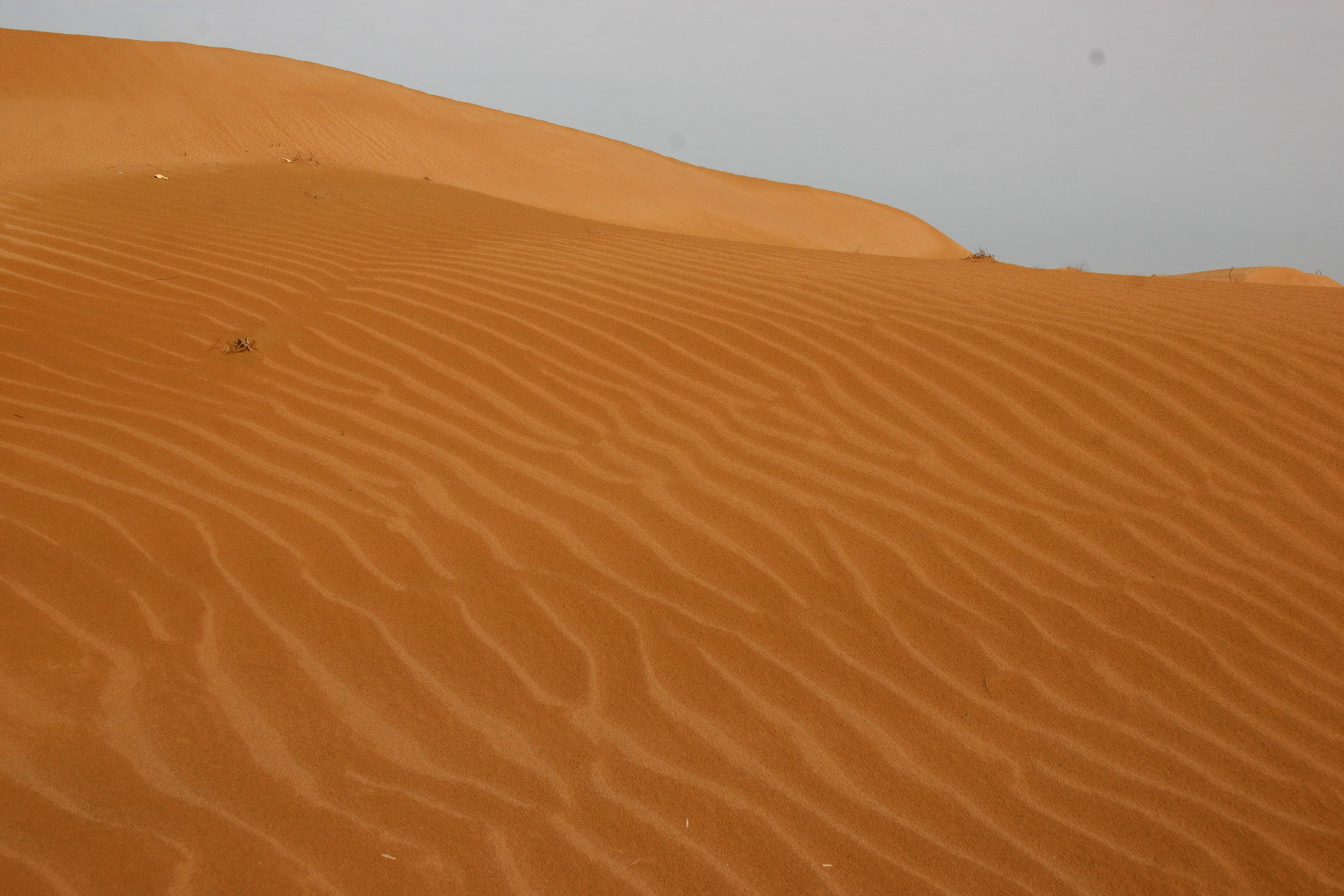Falaj Al Moala