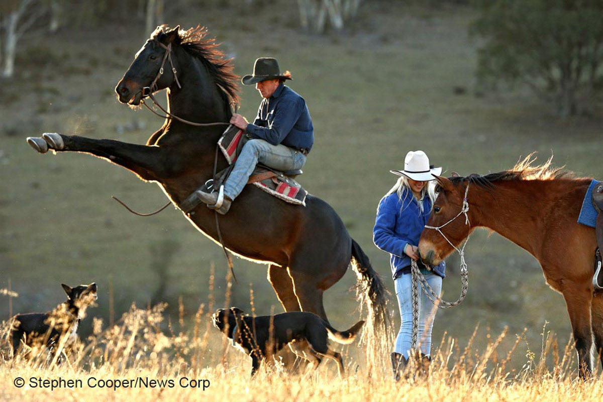Short depth of field and composition. Greg Powell and daughter Jess Powell breaking Snowy Mountain brumbies.