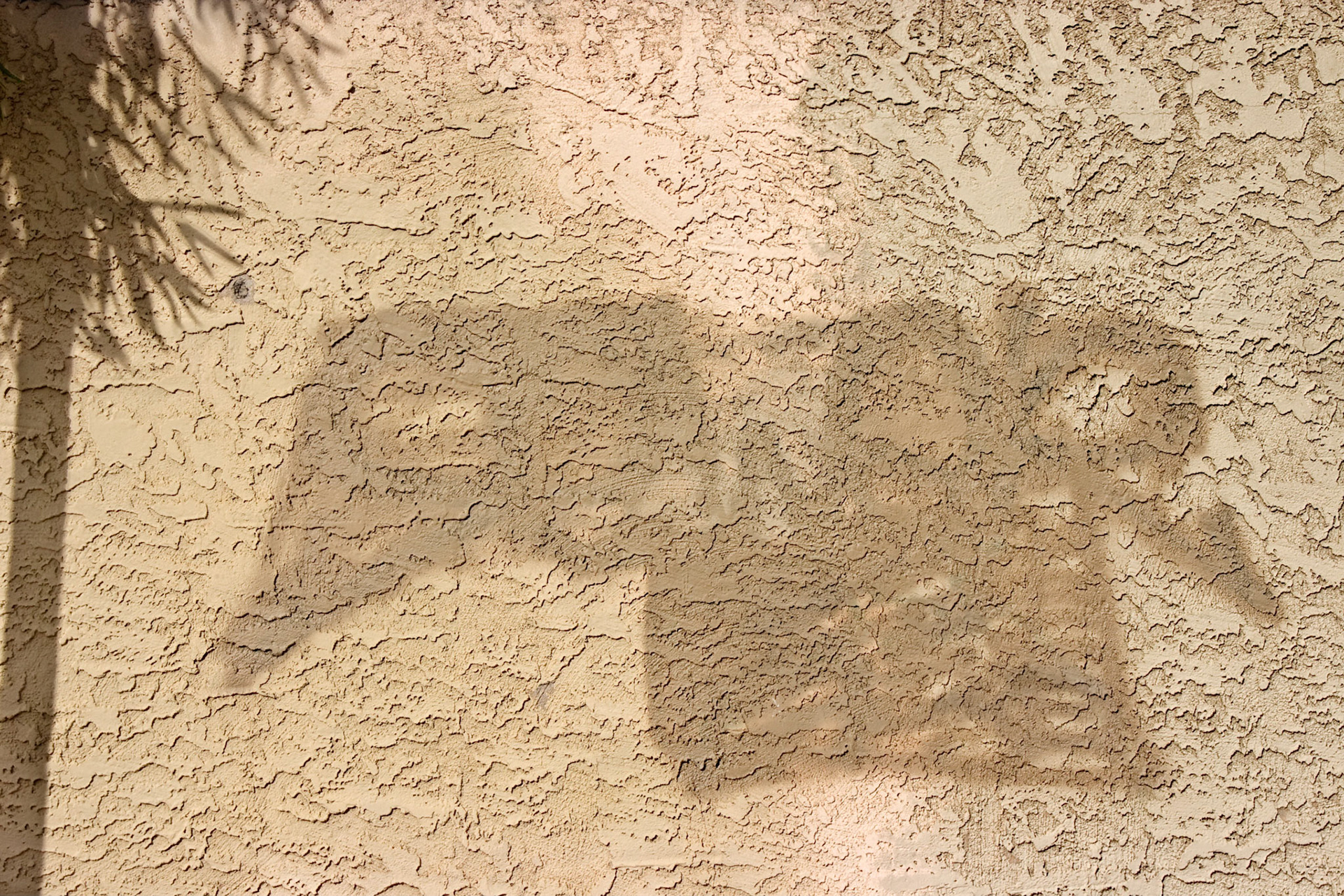 Detag No. 666, 85007; Pigment print, 20 x 30 inches; © 2010