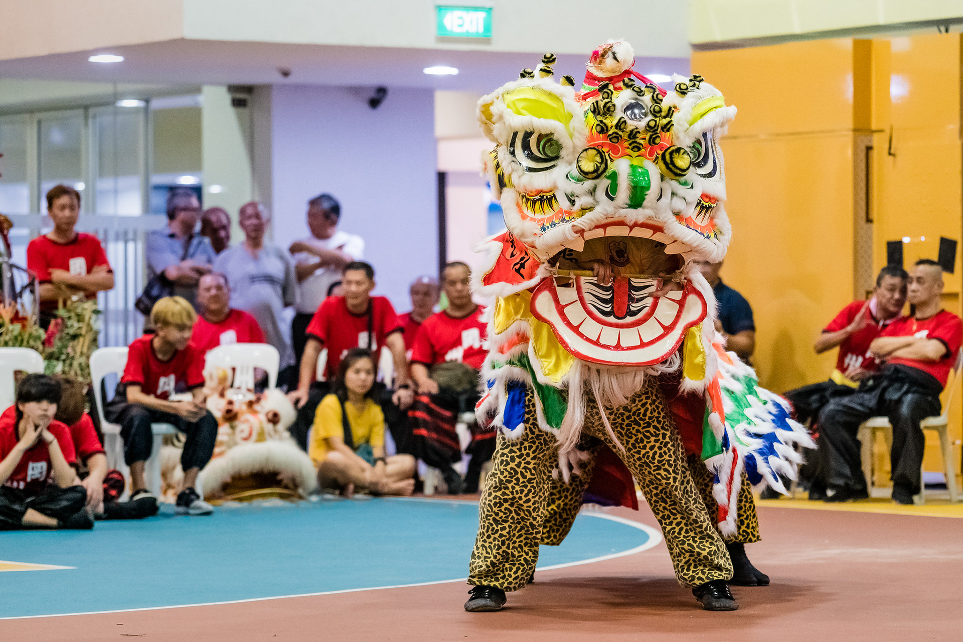 2nd Traditional Lion Dance Display 2018