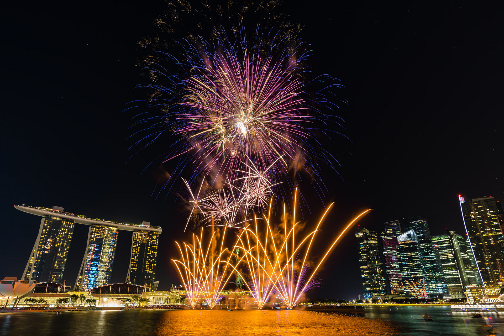 NDP 2017
