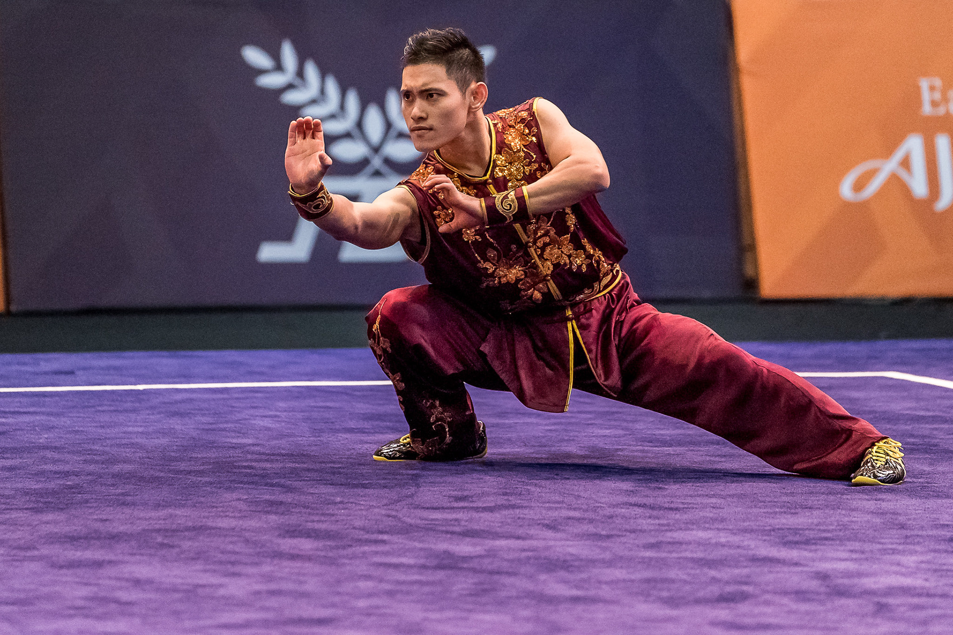 Wushu