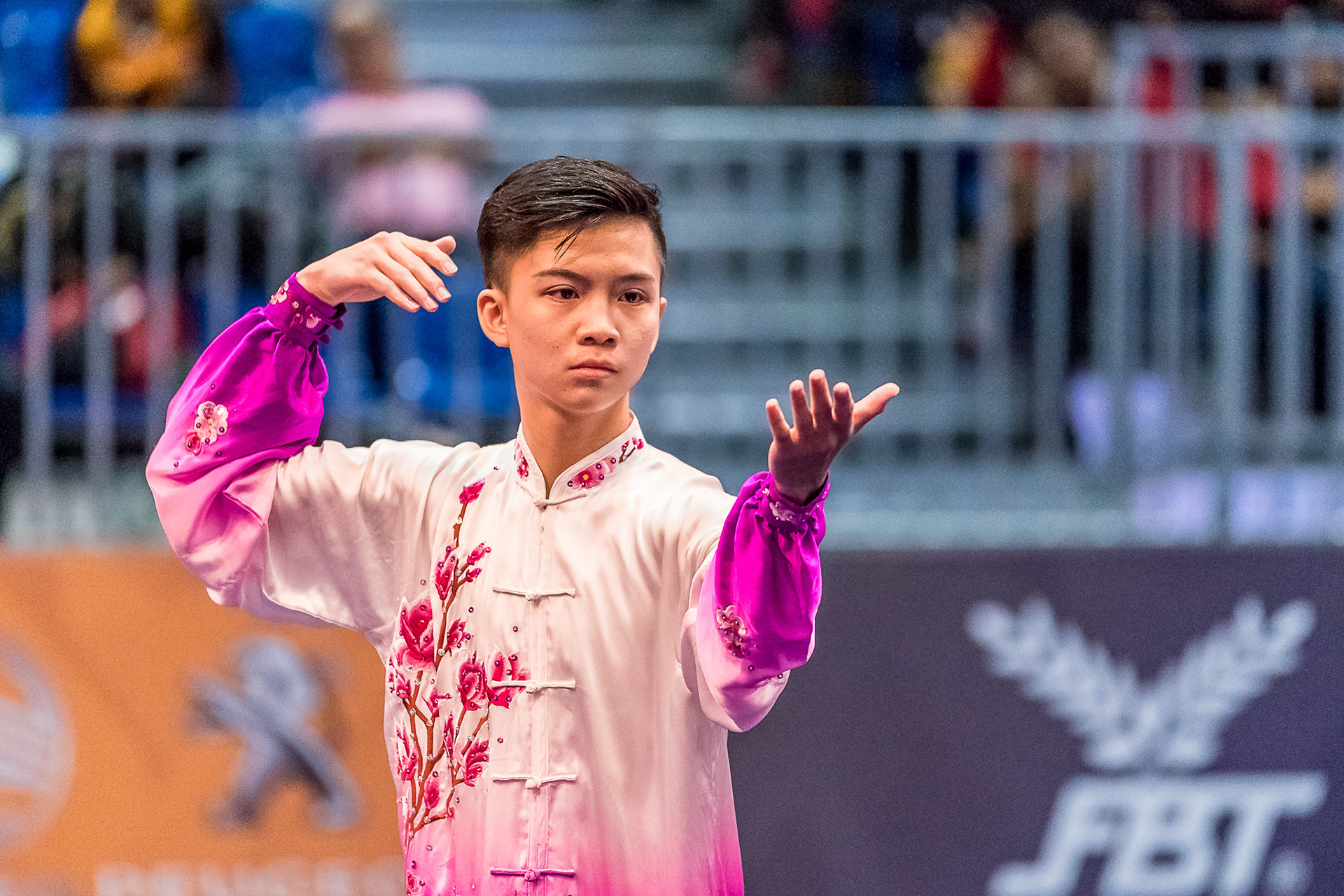 Wushu
