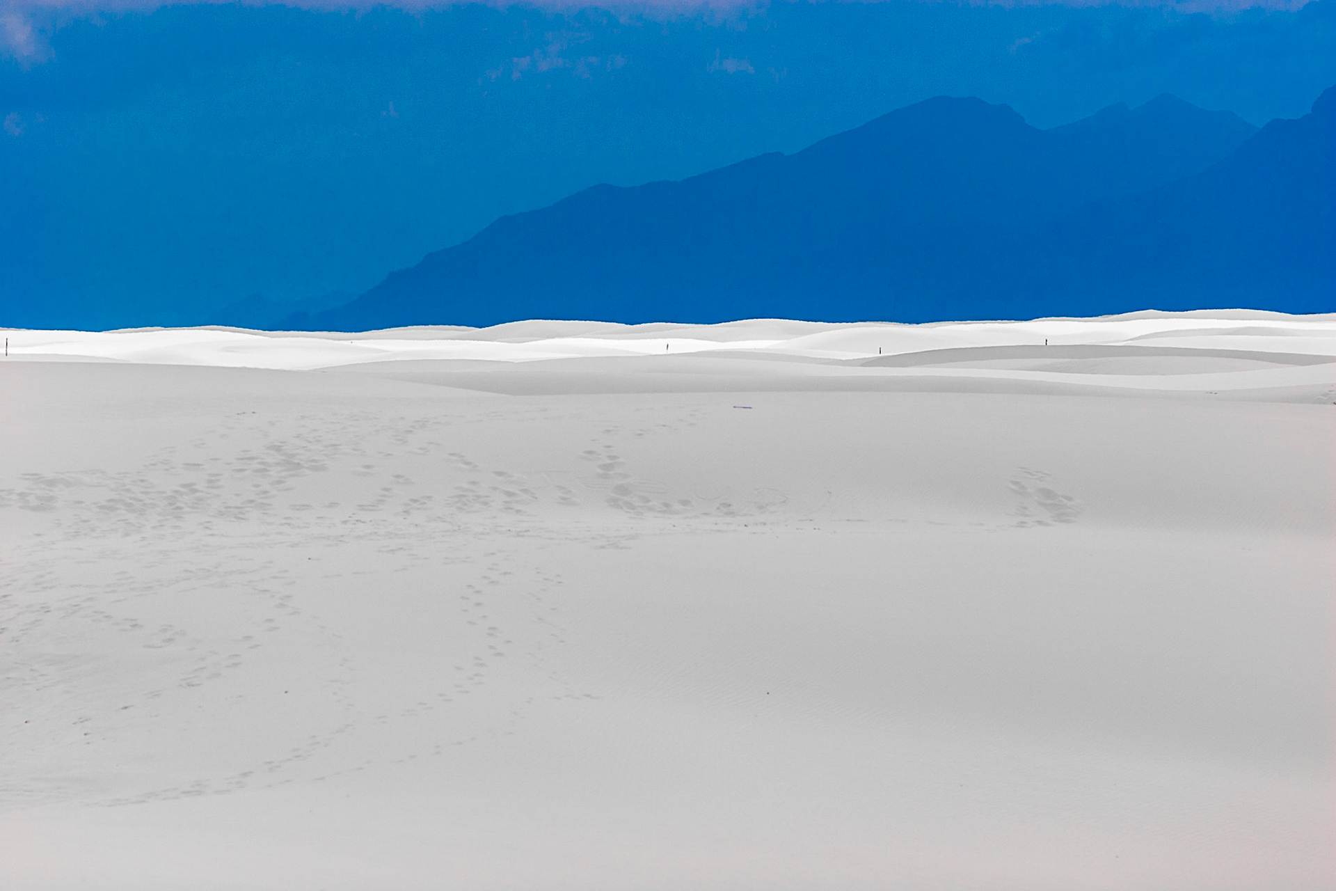 White Sands National Monument, New Mexico. Rising from the heart of the Tularosa Basin is one of the world's great natural wonders - the glistening white sands of New Mexico. Great wave-like dunes of gypsum sand have engulfed 275 square miles of desert, creating the world's largest gypsum dunefield. White Sands National Monument preserves a major portion of this unique dunefield, along with the plants and animals that live here.