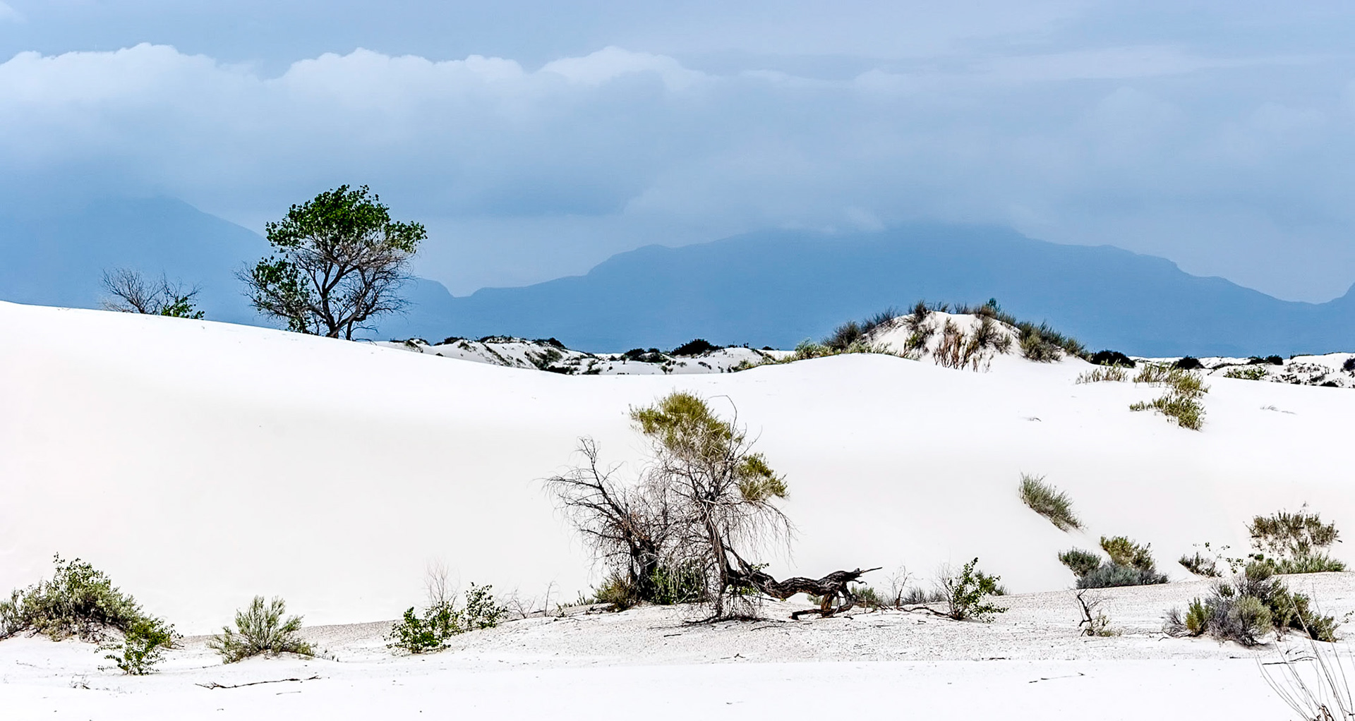 White Sands National Monument, New Mexico. Rising from the heart of the Tularosa Basin is one of the world's great natural wonders - the glistening white sands of New Mexico. Great wave-like dunes of gypsum sand have engulfed 275 square miles of desert, creating the world's largest gypsum dunefield. White Sands National Monument preserves a major portion of this unique dunefield, along with the plants and animals that live here.