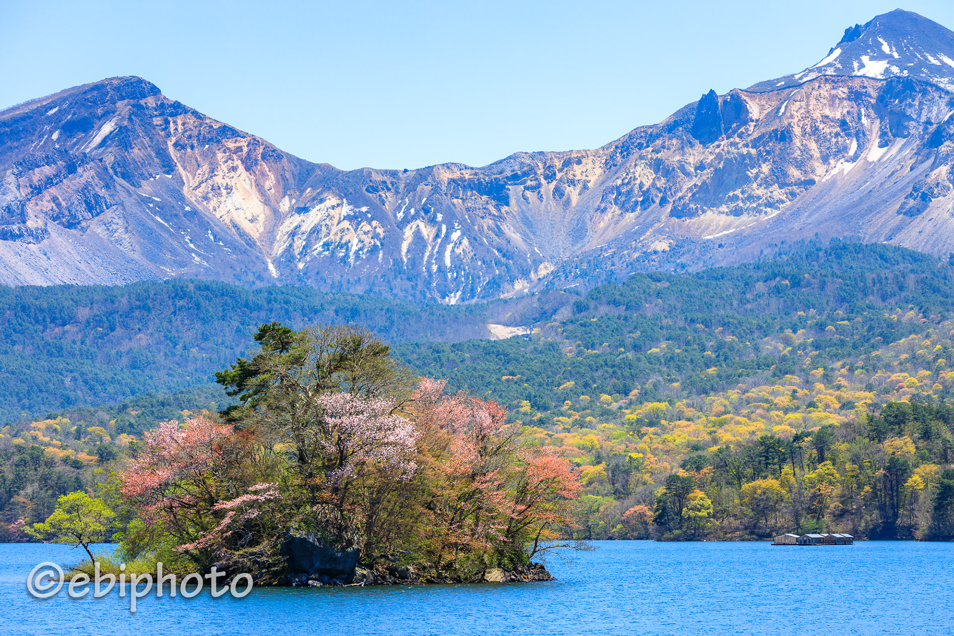 桧原湖 桜島