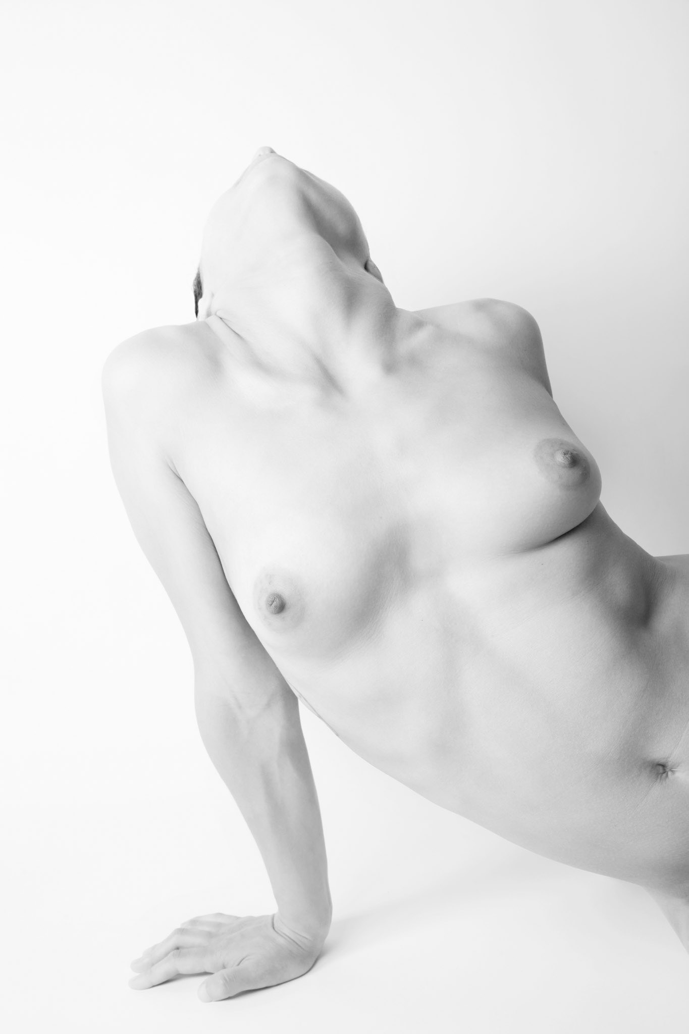 Body's art - forma