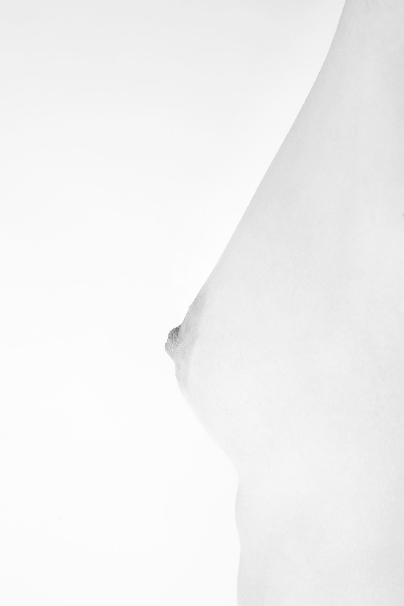 Body's art - sintesi