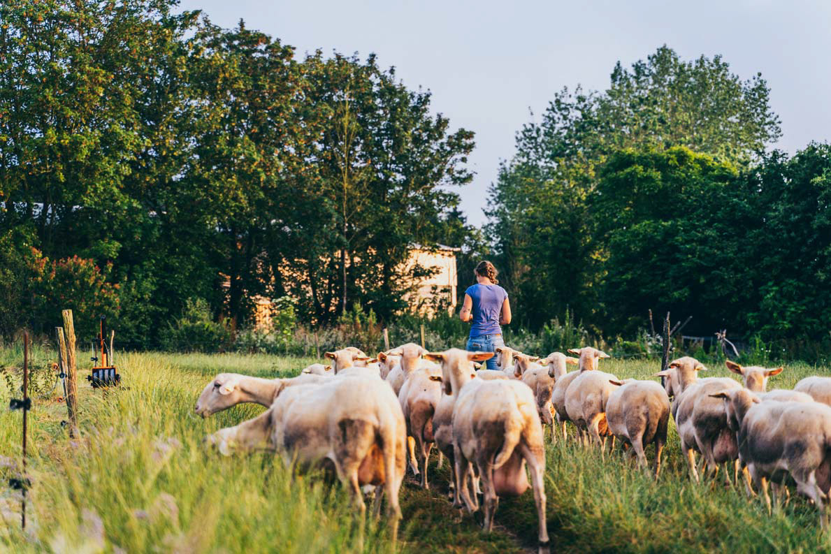Agriculture biologique, Côtes d'Armor