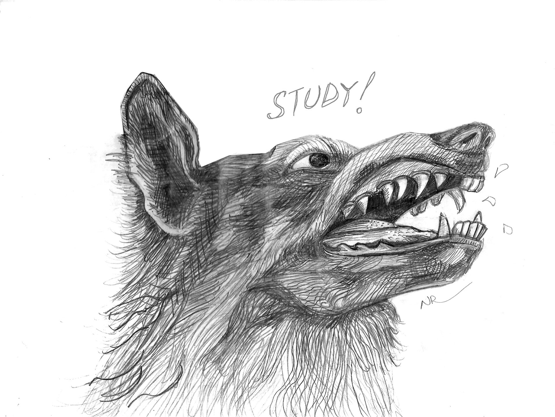 STUDY! 2016. Graphite on paper, 8.5 x 11"