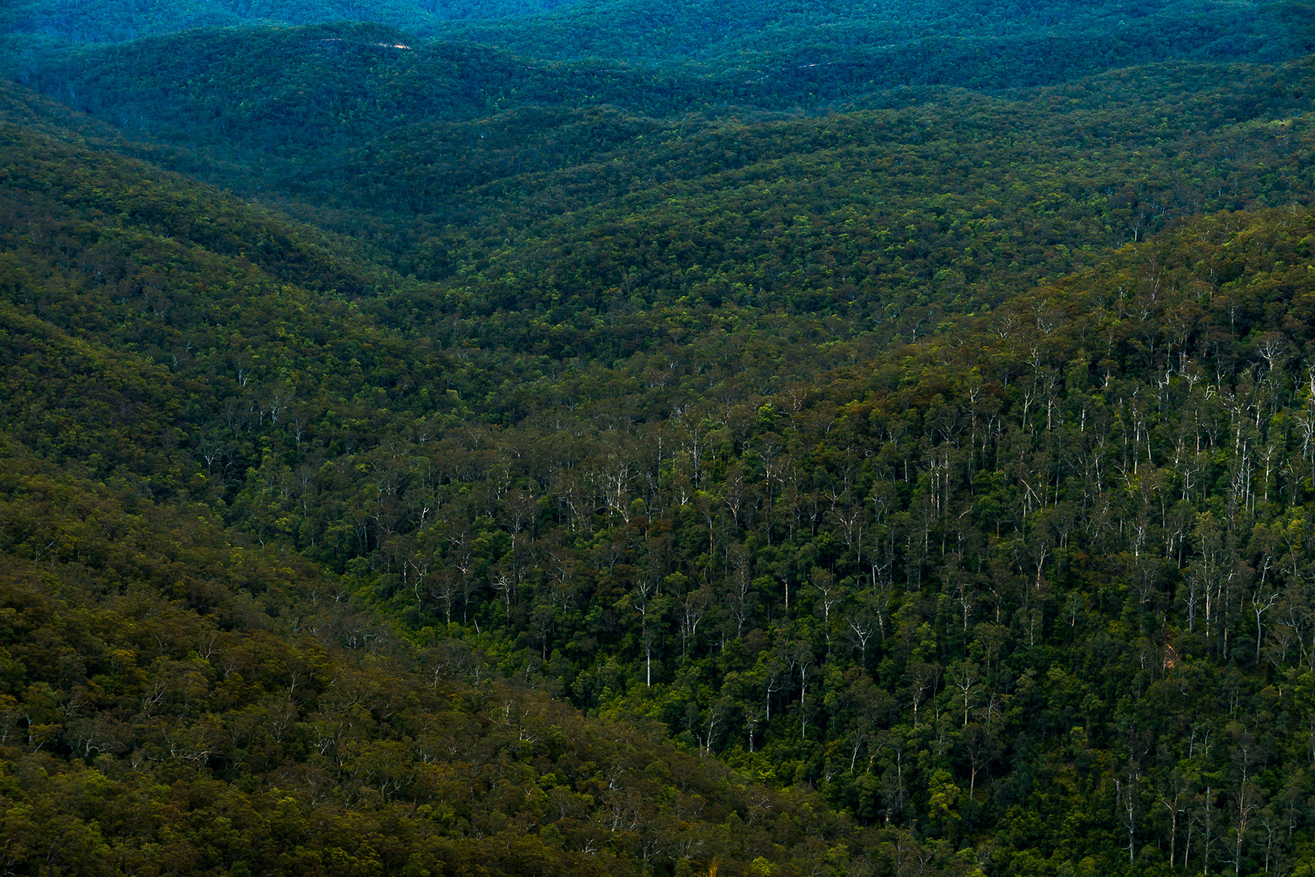 Blue mountains, NSW, Australia