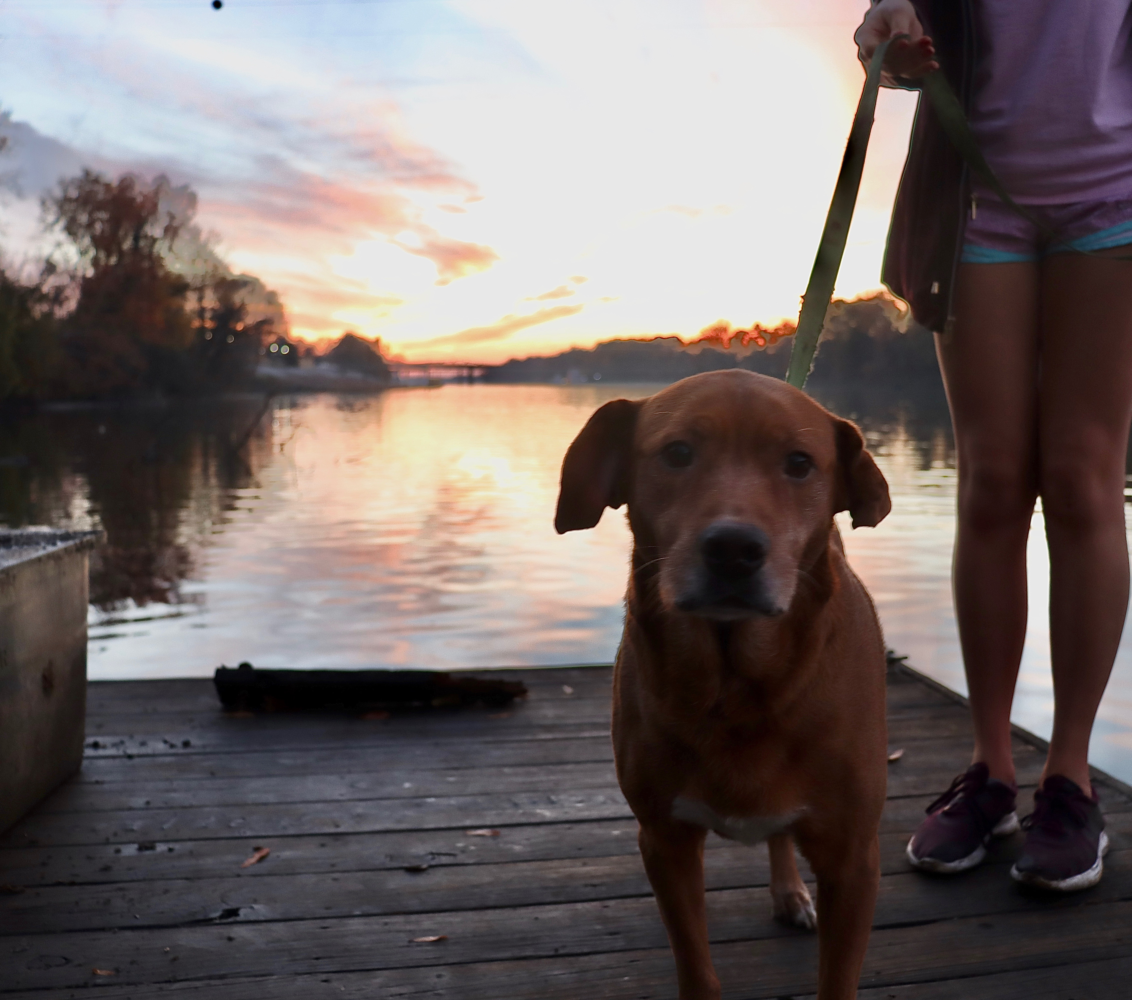 She's prettier than the sunset