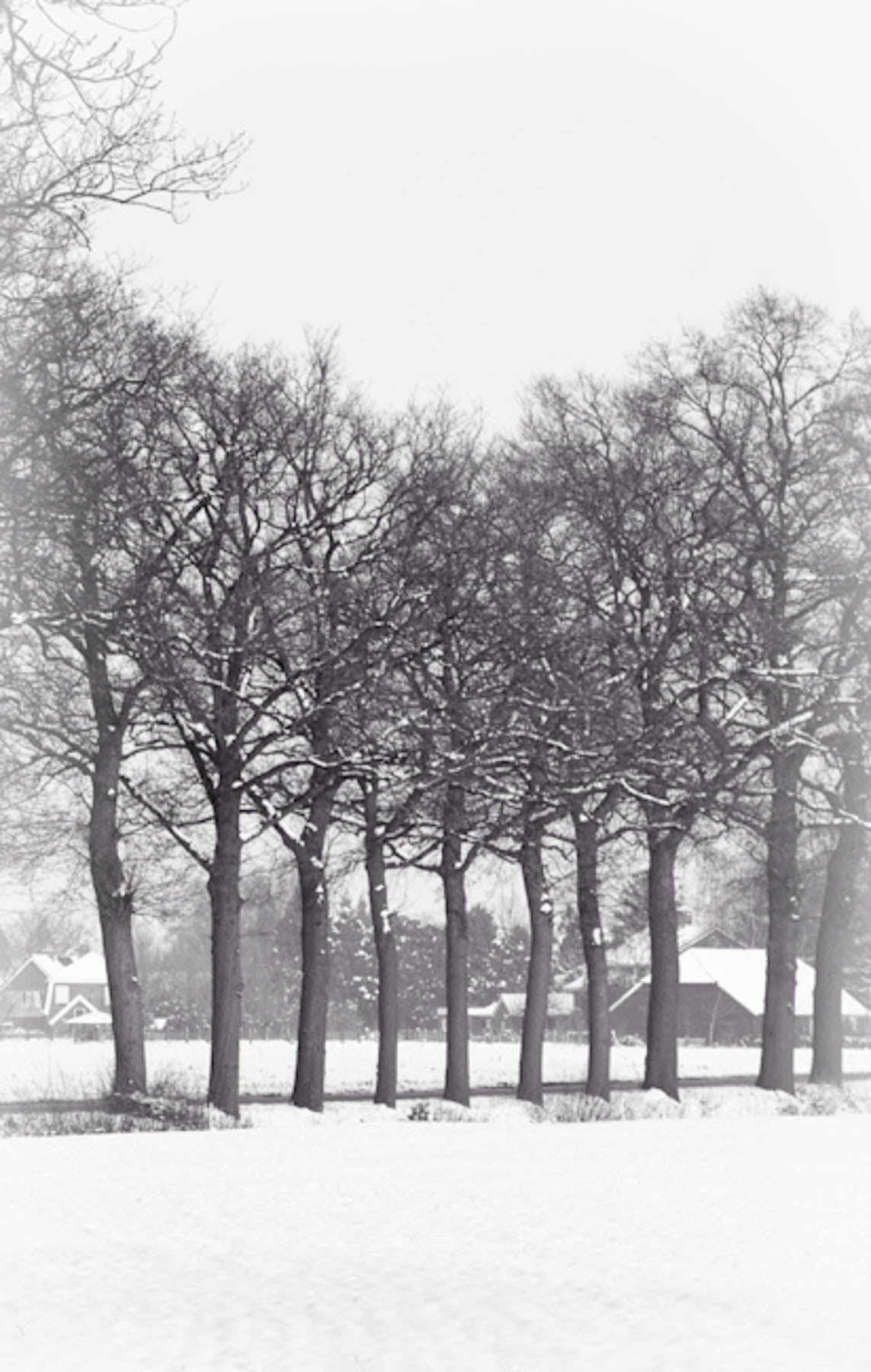Achterhoek