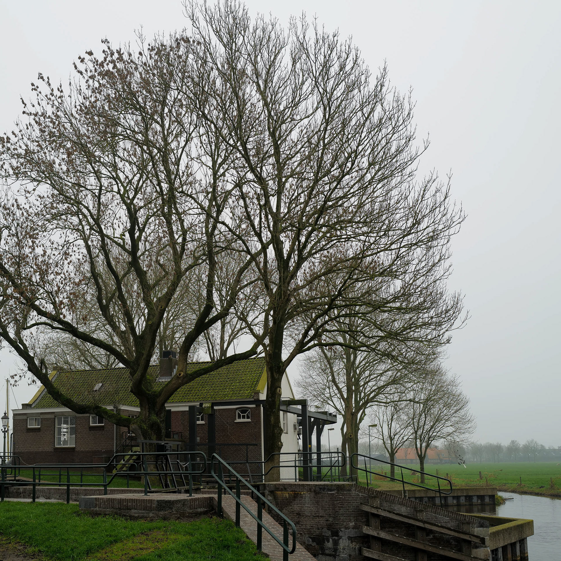Eemnesser gemaal