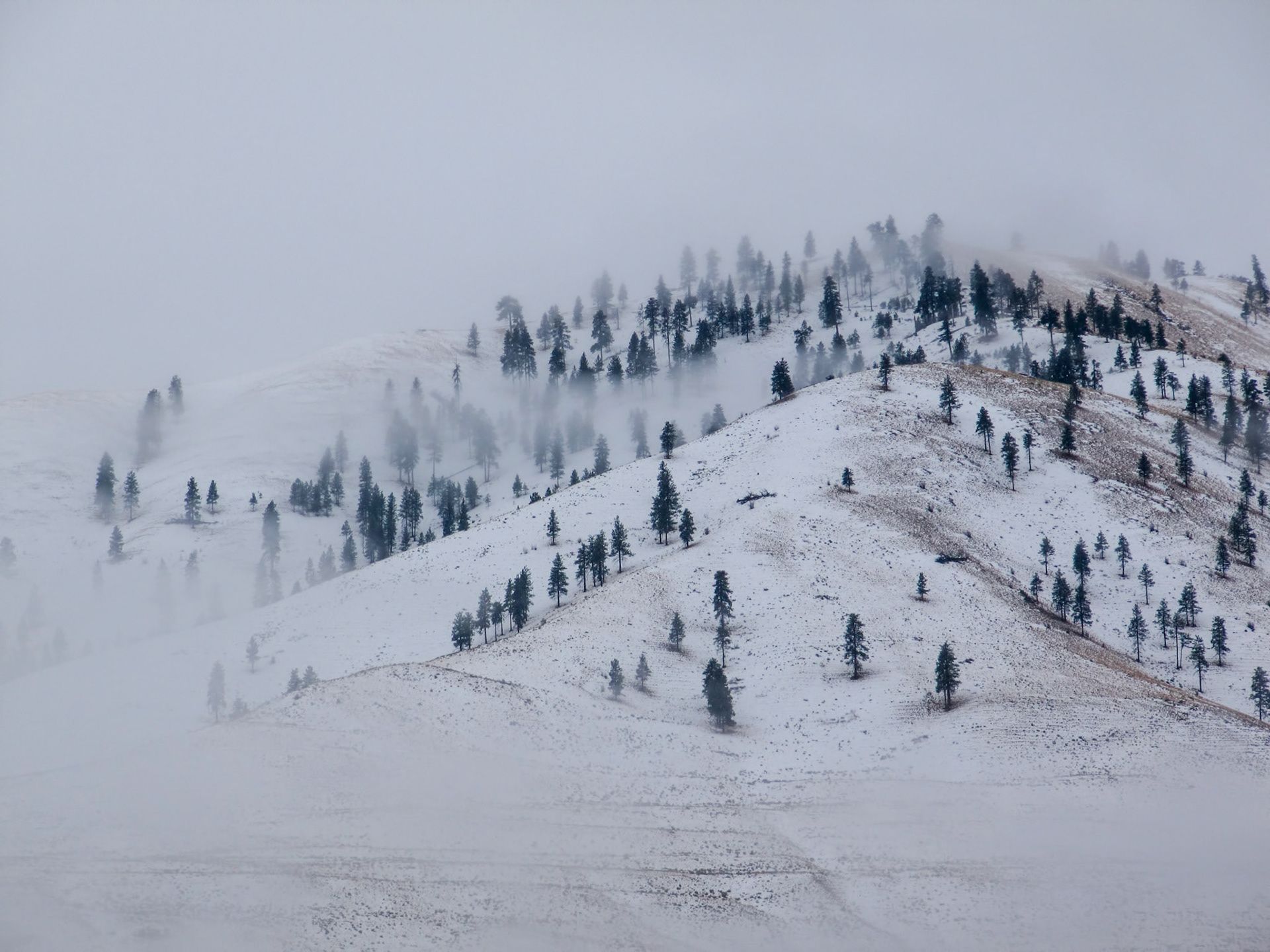 Views of the winter fog on the hills outside Chelan Washington.