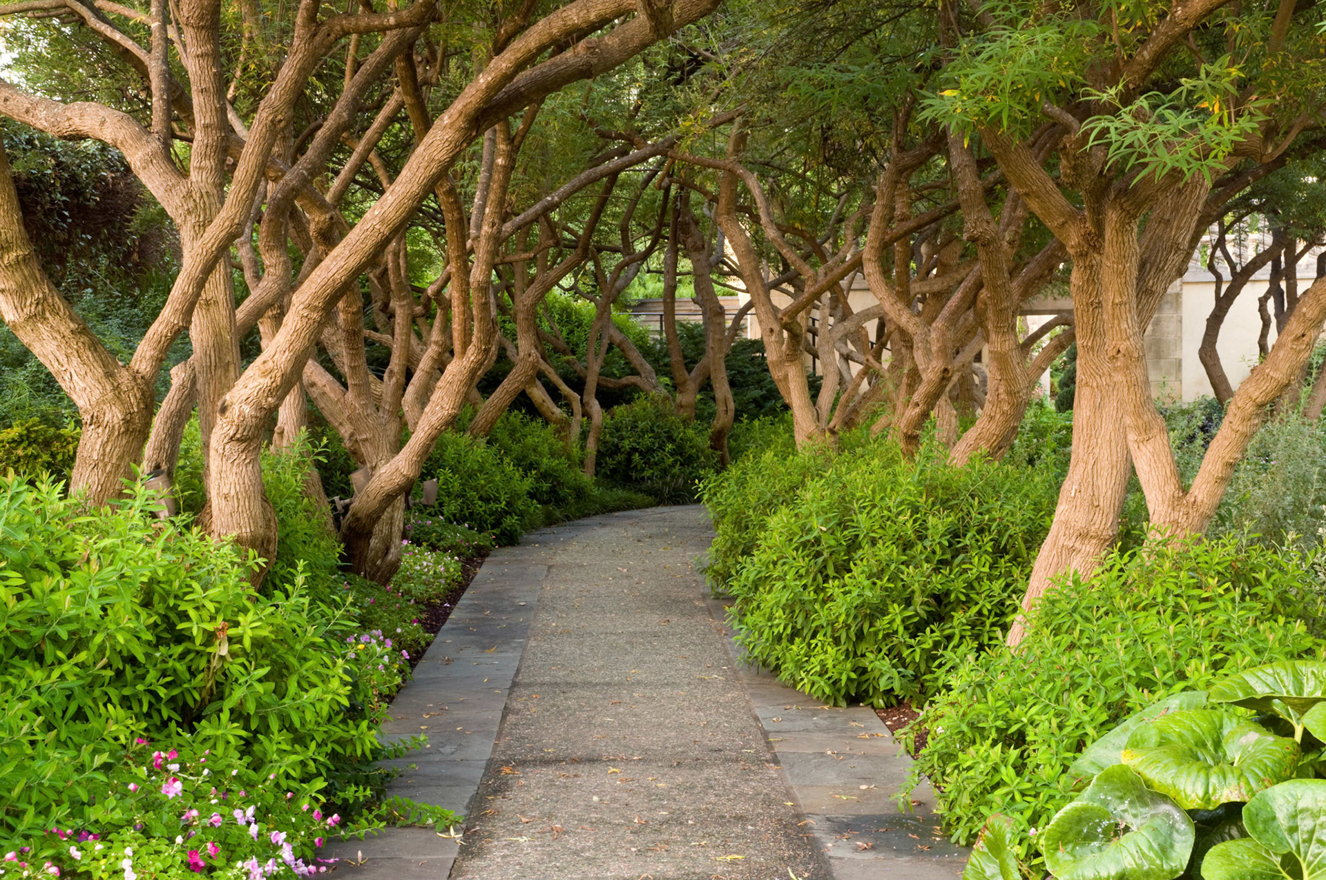 A morning scene at the Dallas Arboretum in Dallas Texas.