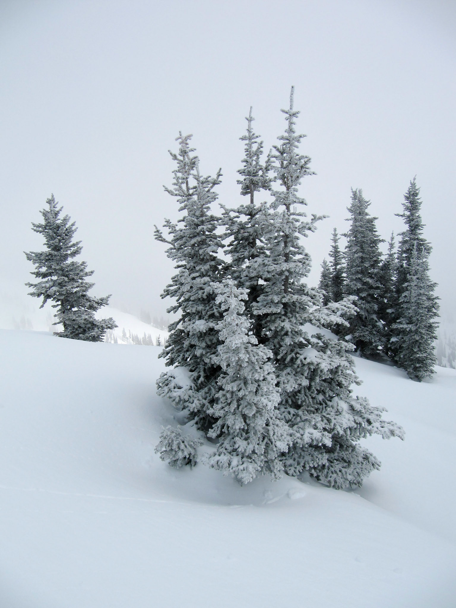 Scenery during a visit to Crystal Mountain Ski Resort near Greenwater Washington