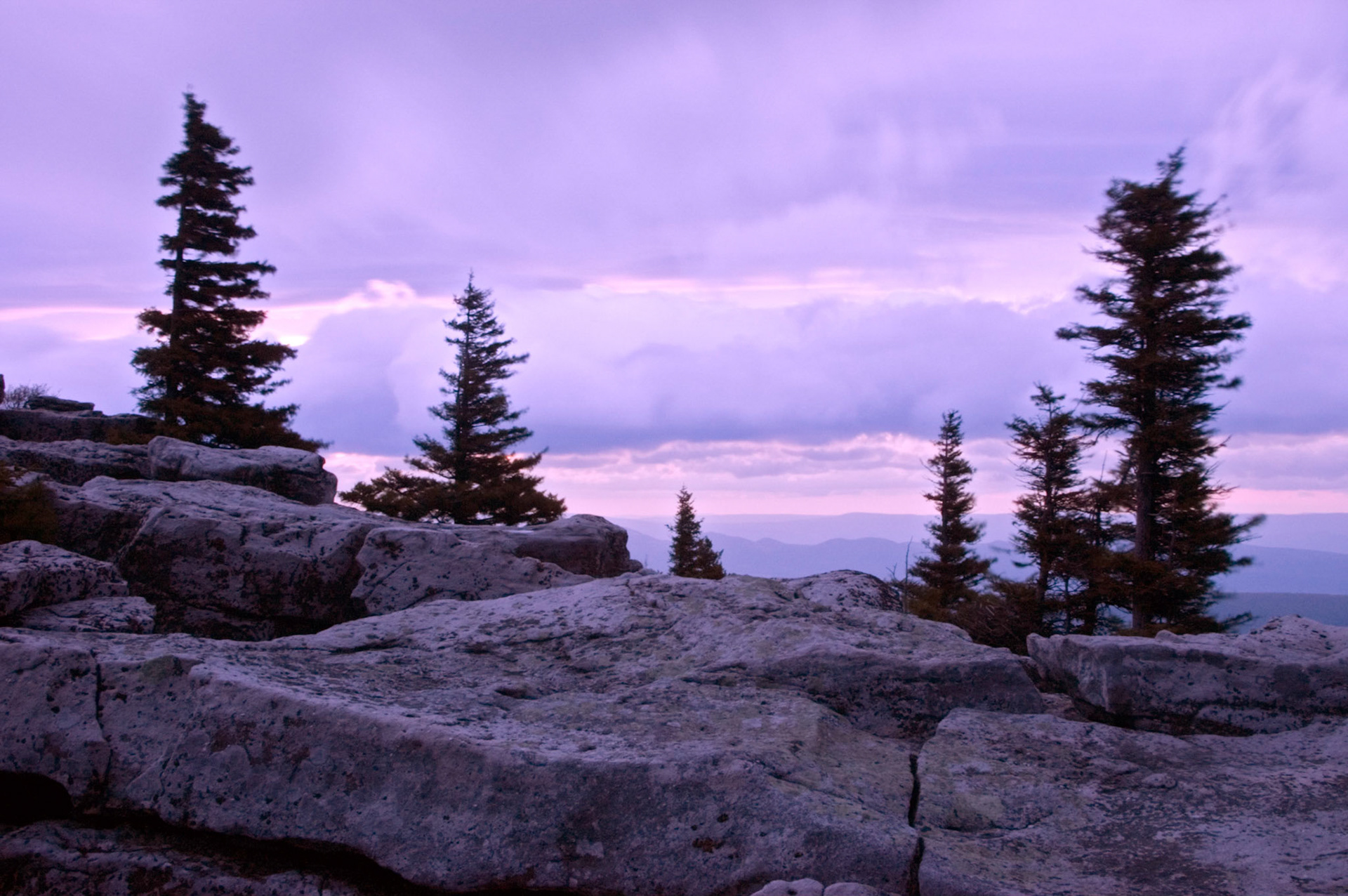 The view of a stormy sunrise from Bear Rocks at Dolly Sods Scenic Area near Davis West Virginia.