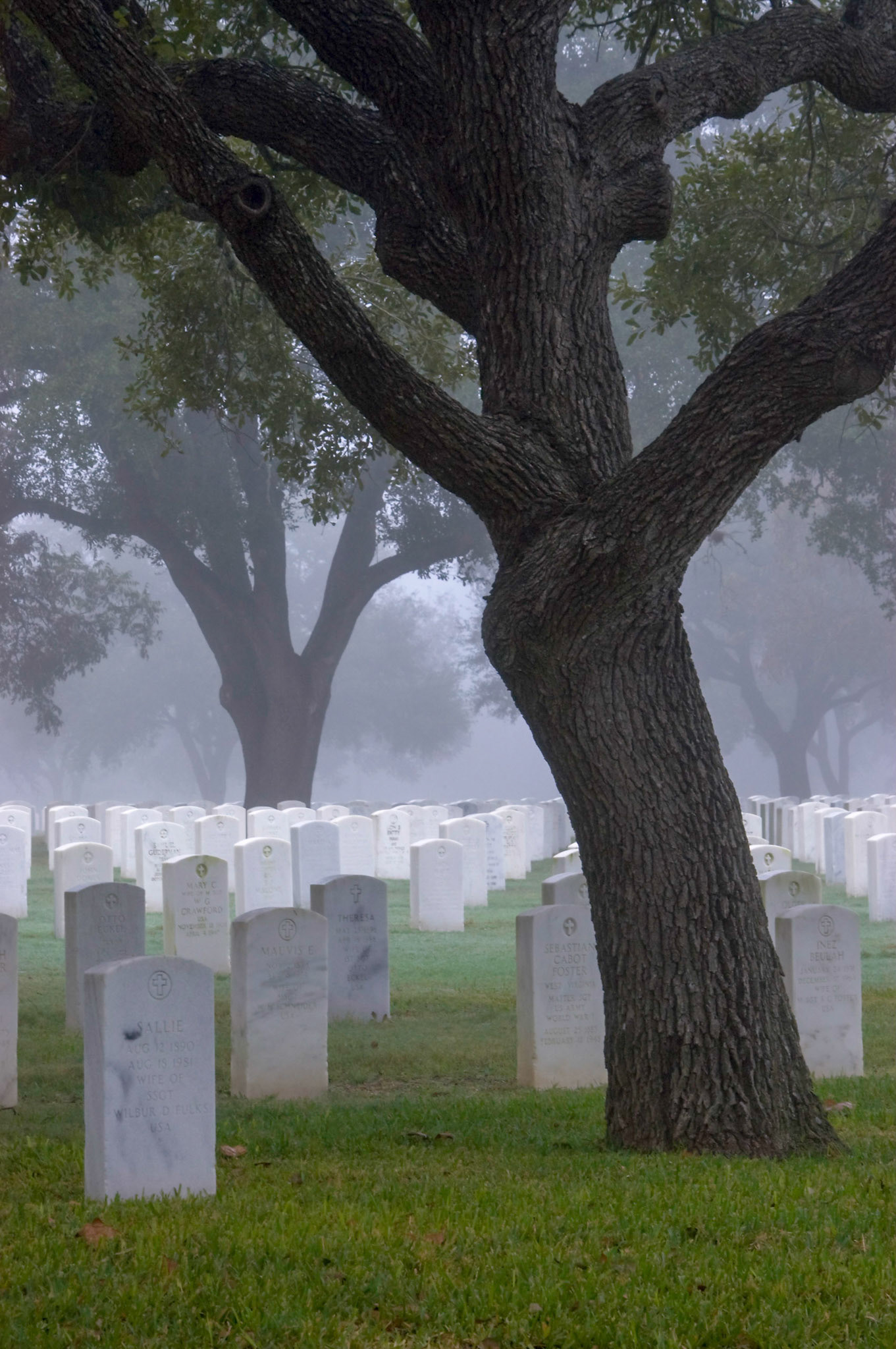 The fog makes the cemetery a mysterious place.