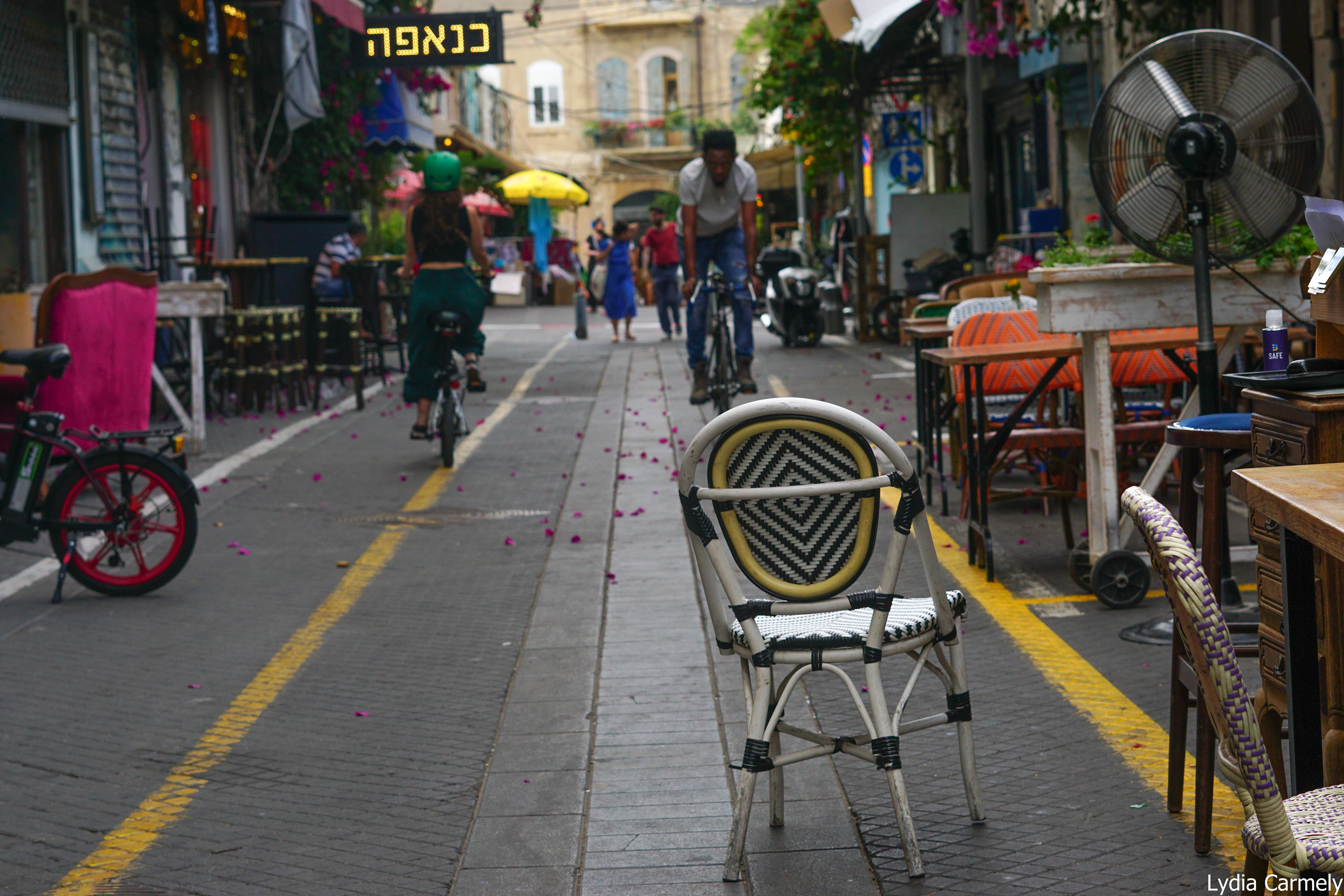 לידיה כרמלי