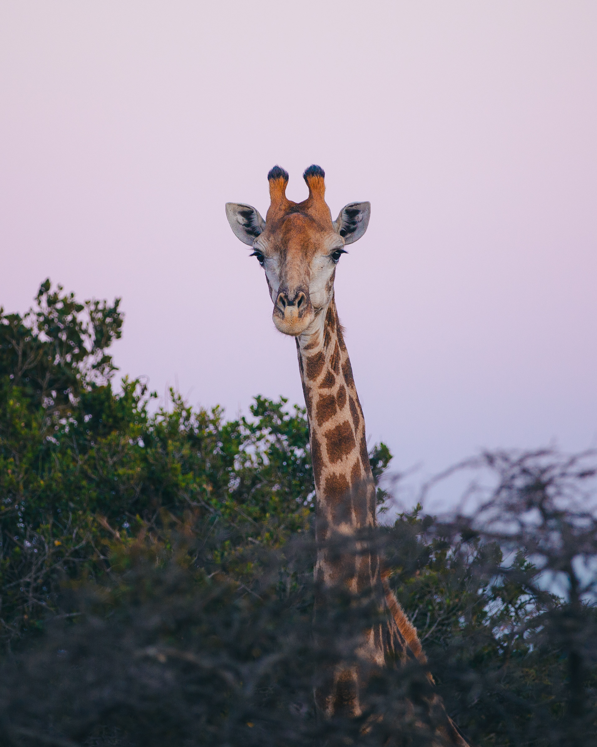 THE WILD COAST, SOUTH AFRICA