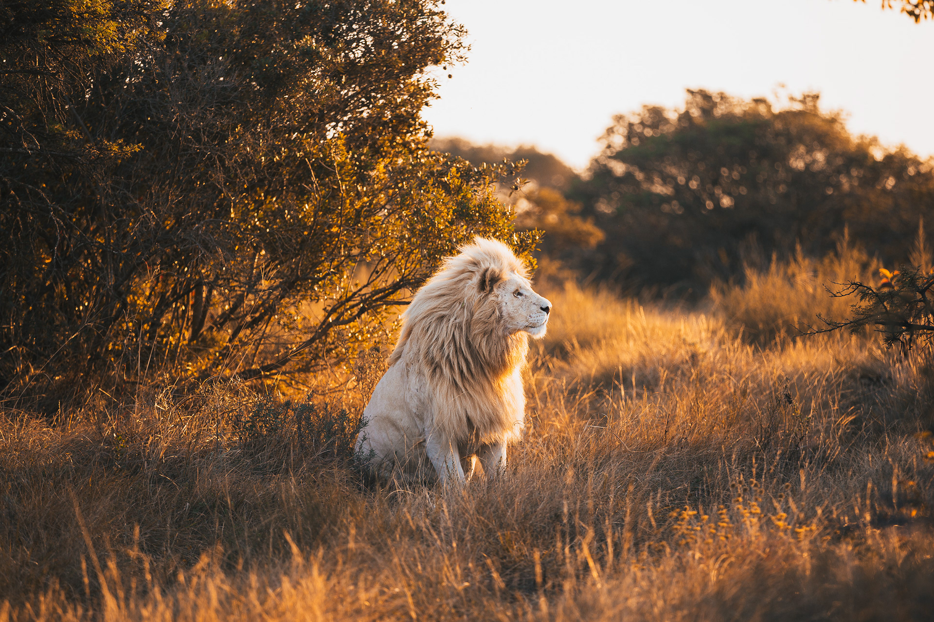 THE WILD COAST, SOUTH AFRICA