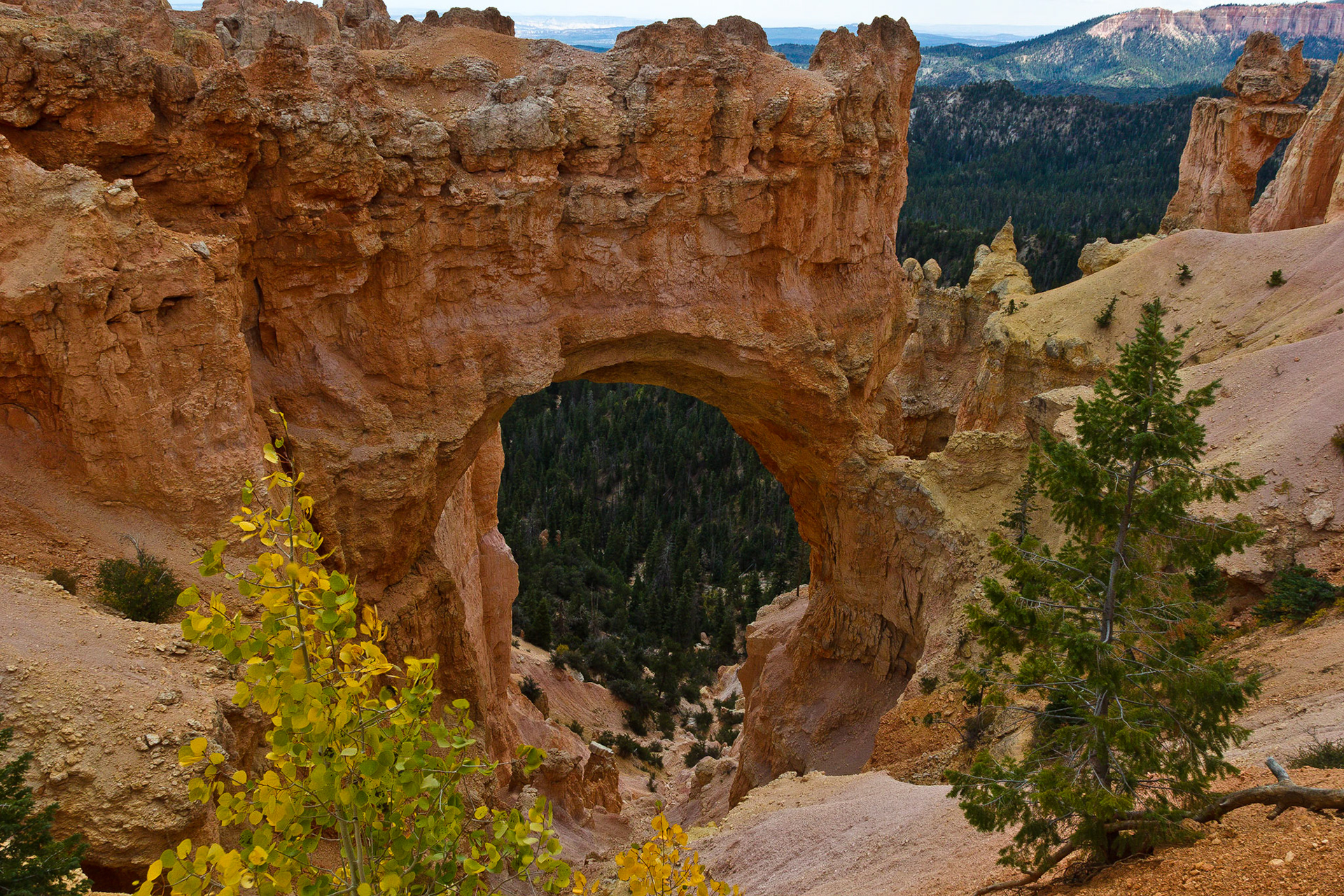 Bryce NP Utah
