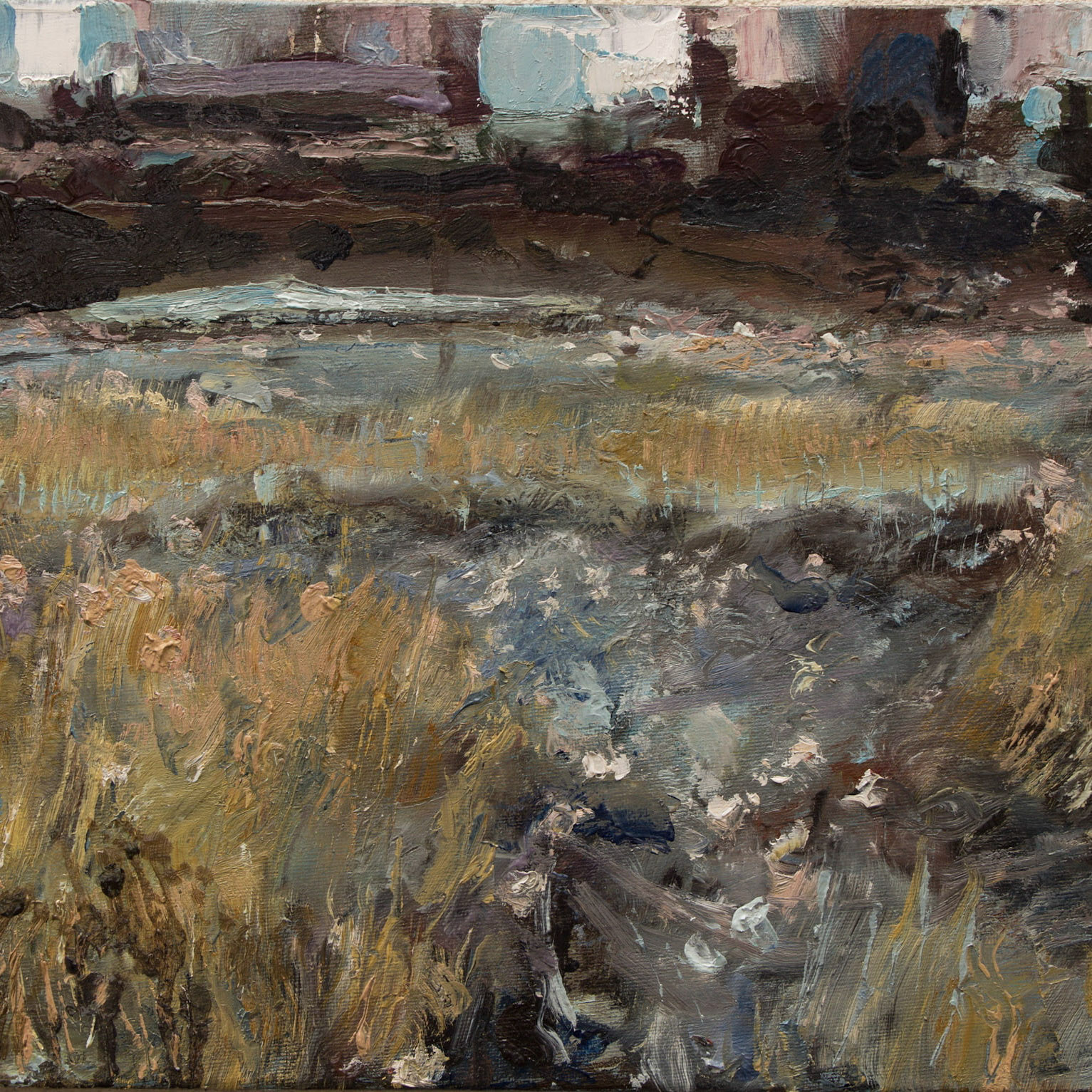 Murmurations 40 x 30 oil on canvas