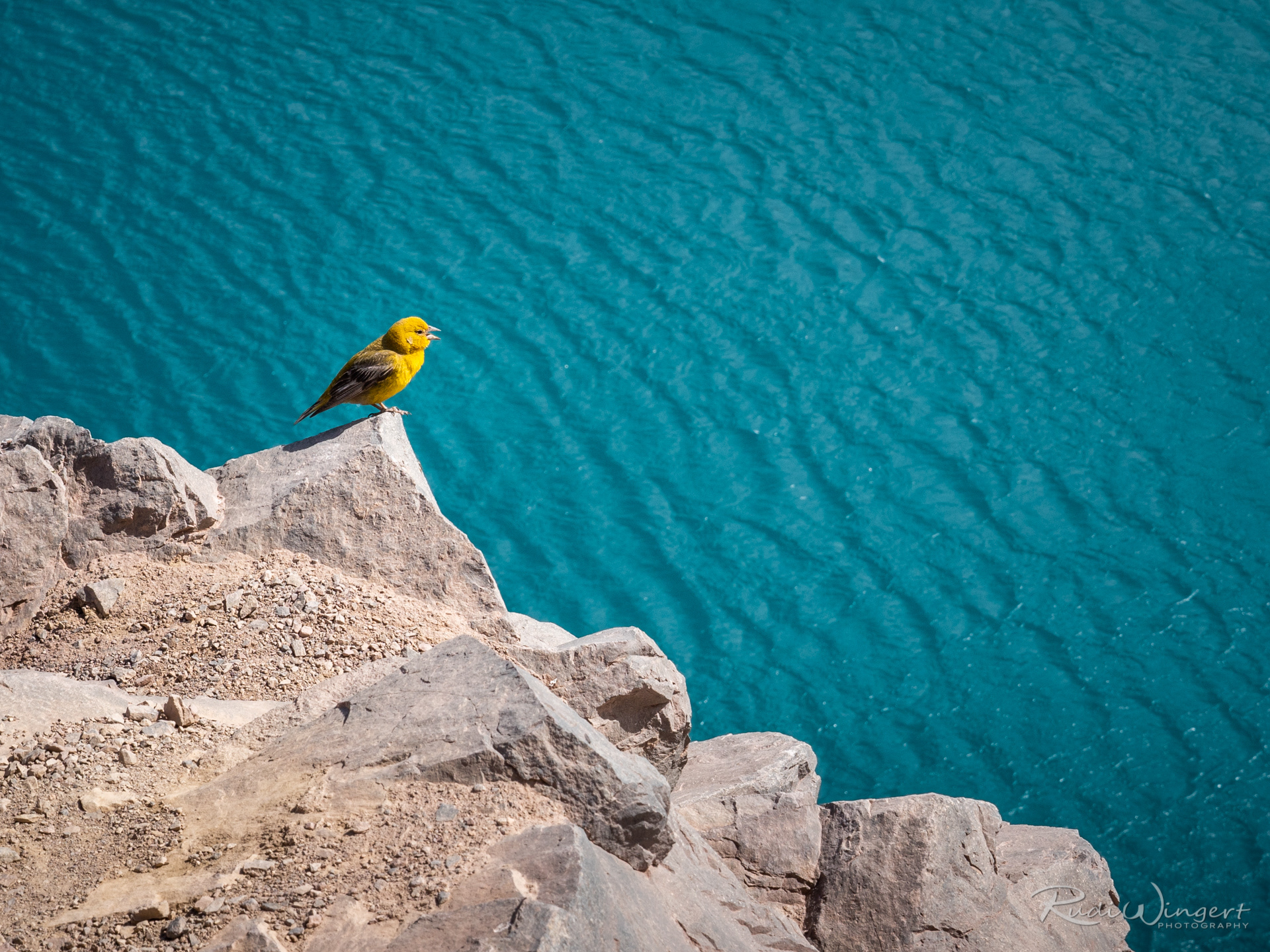 Embalse El Yeso | San Jose de Maipo | Santiago