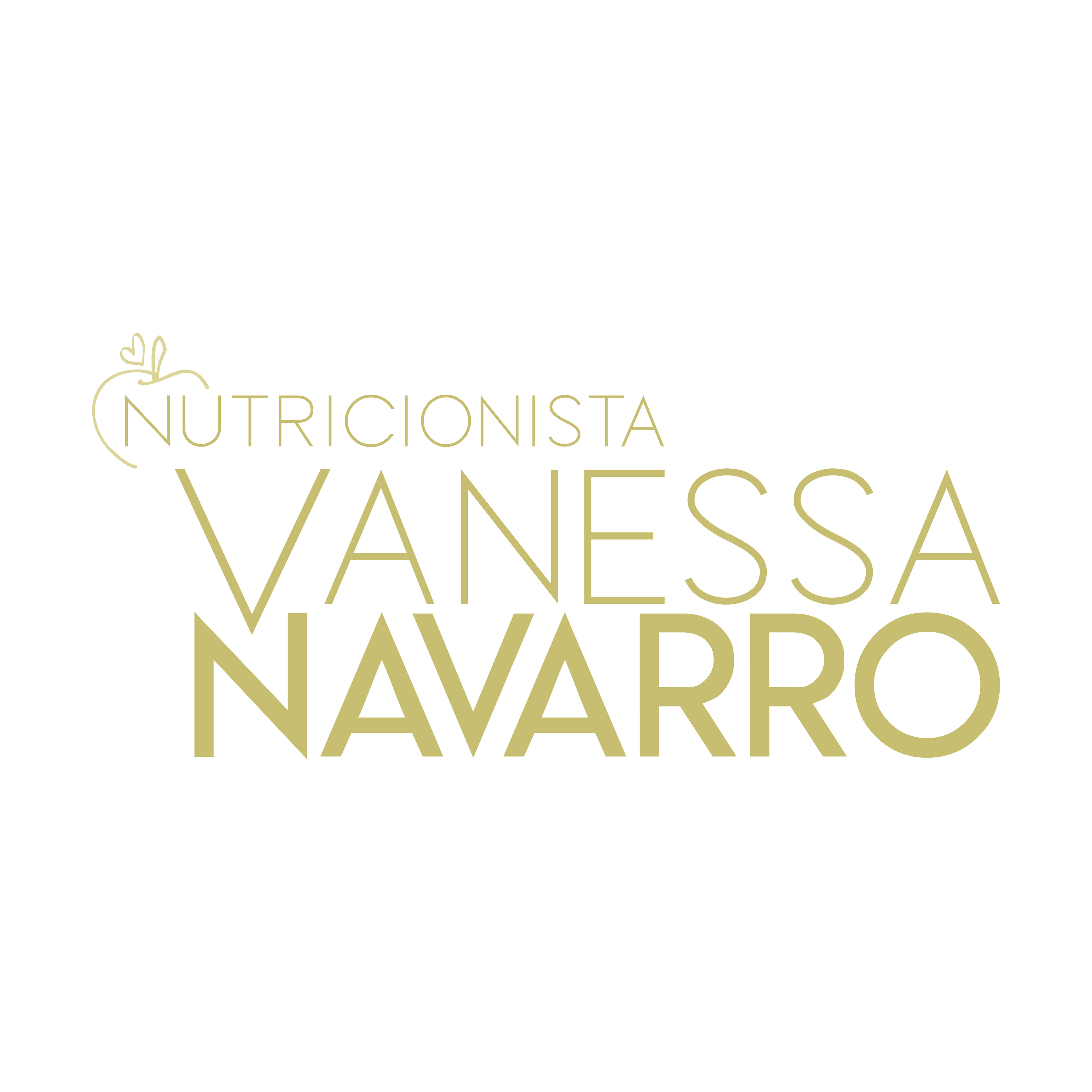 Logo Nutricionista Vanessa Navarro
