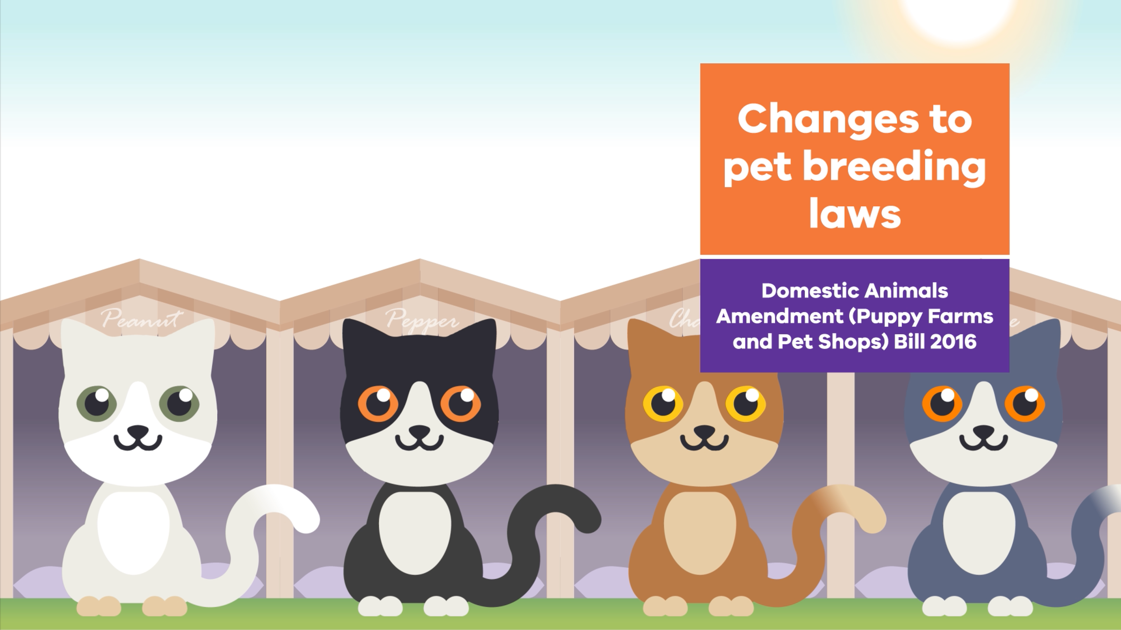 matter-pet-breeding-laws-animation