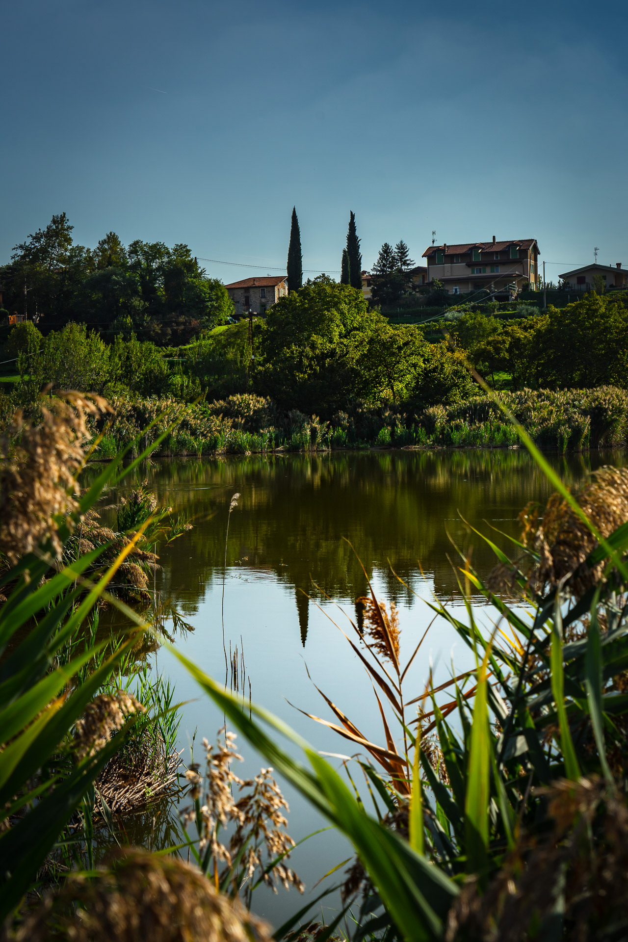 In the park there are numerous small ponds and swamps.