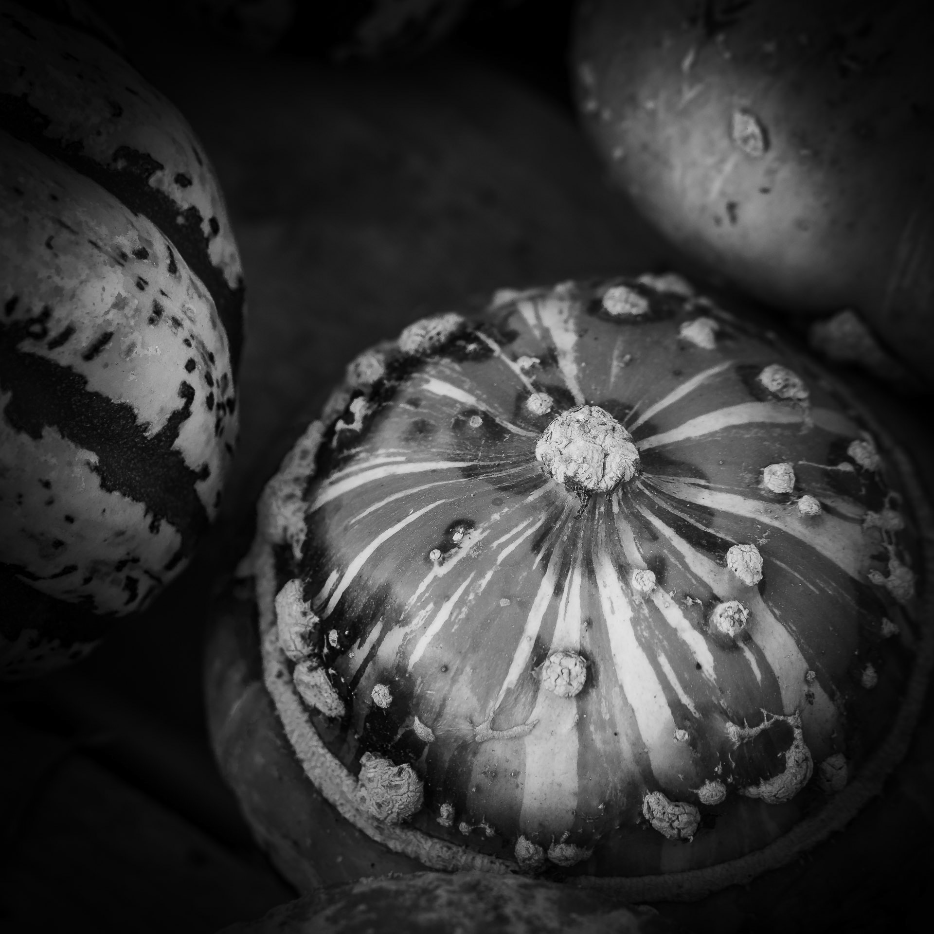 Autumn time, pumpkin season.