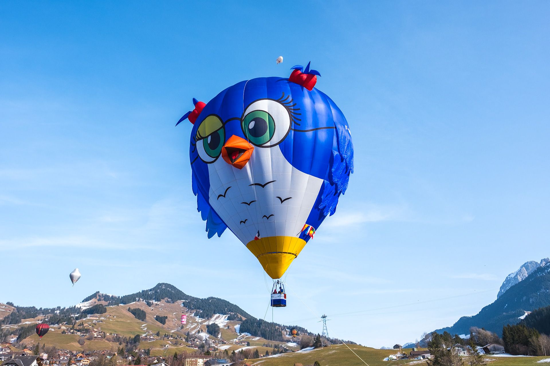 Dominik Gehl Photography Festival International De Ballons De Chateau D Oex Dominik Gehl Photography Festival International De Ballons De Chateau D Oex